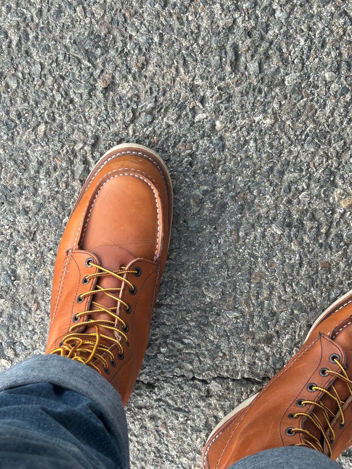 Photo by sleeps on October 23, 2025 of the Red Wing 10877 in S.B. Foot Oro-Iginal.