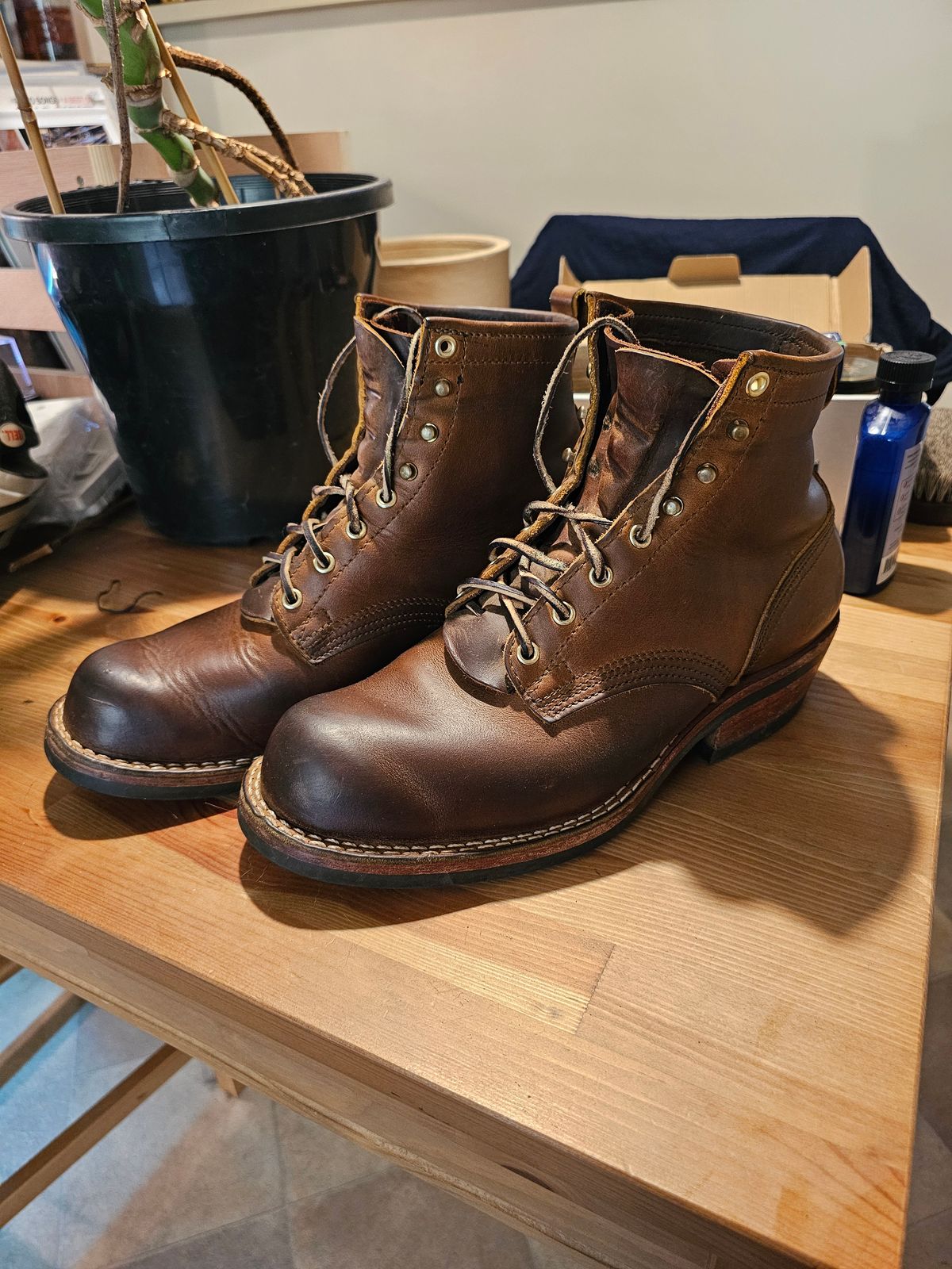 Photo by Luke.to.Boot on April 28, 2025 of the Nicks Robert in Horween Orange Predator.