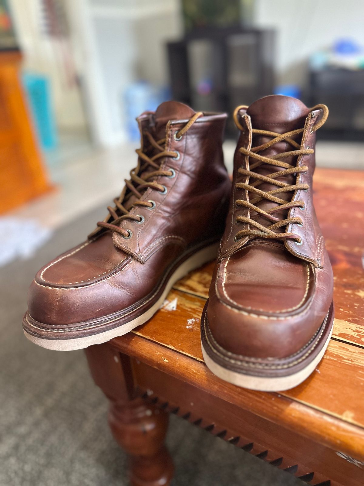 Photo by brusa on July 27, 2024 of the Red Wing 6-Inch Classic Moc in S.B. Foot Copper Rough and Tough.