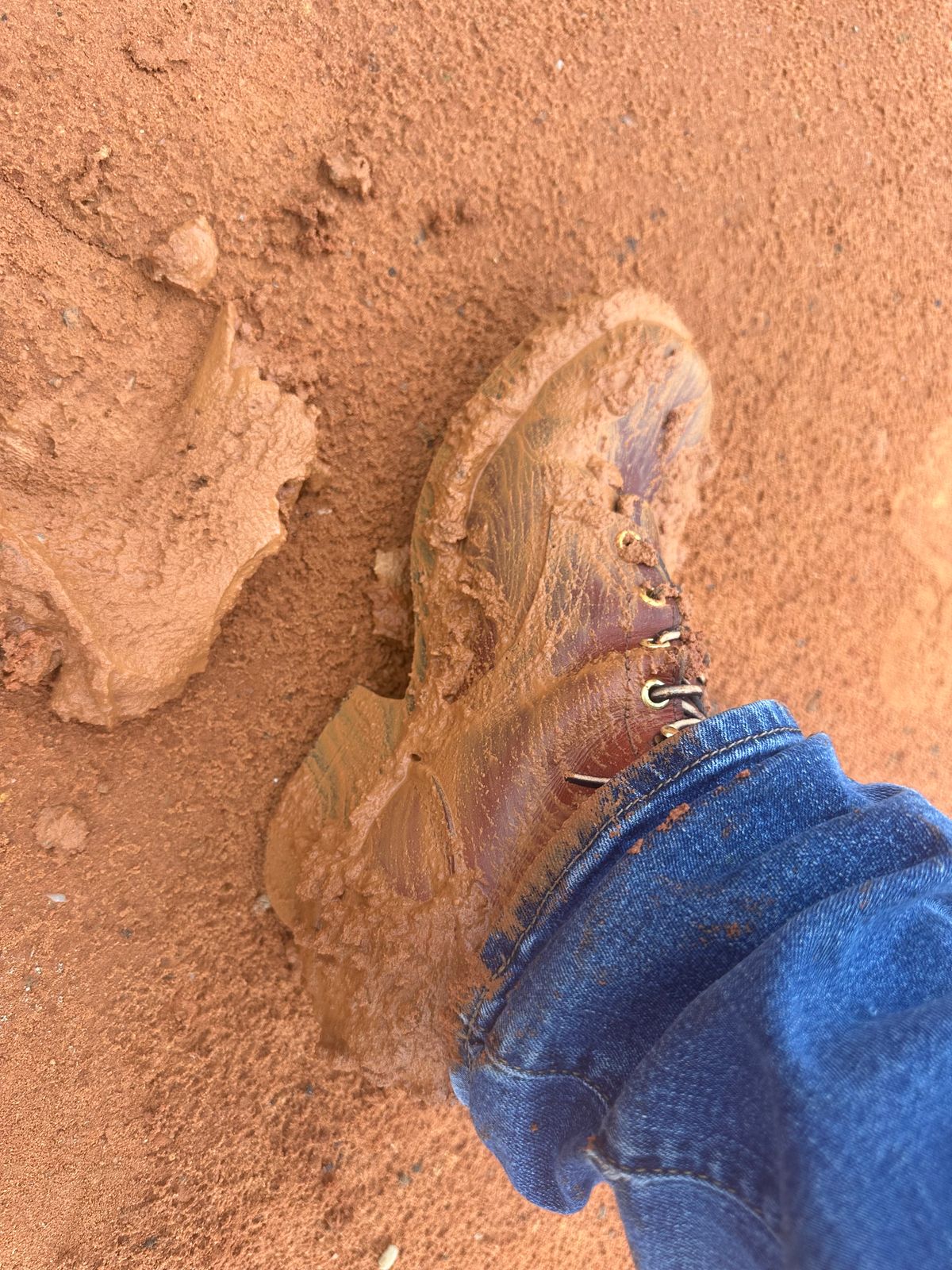 Photo by brusa on December 26, 2024 of the Frank's Boots Wilshire in Wickett & Craig Tan Oiled Latigo.