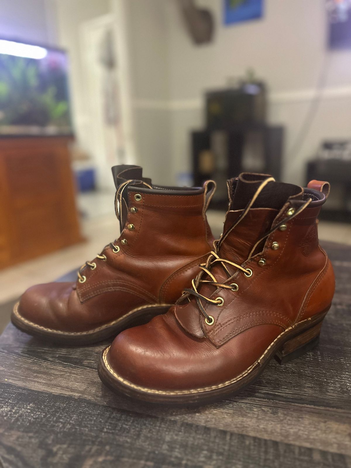 Photo by brusa on December 26, 2024 of the Frank's Boots Wilshire in Wickett & Craig Tan Oiled Latigo.