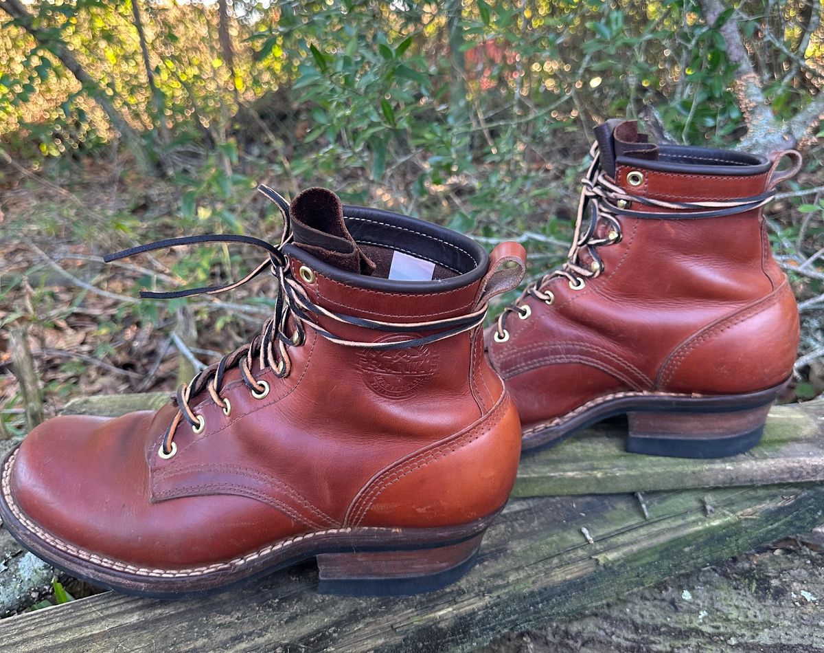 Photo by brusa on January 2, 2025 of the Frank's Boots Wilshire in Wickett & Craig Tan Oiled Latigo.