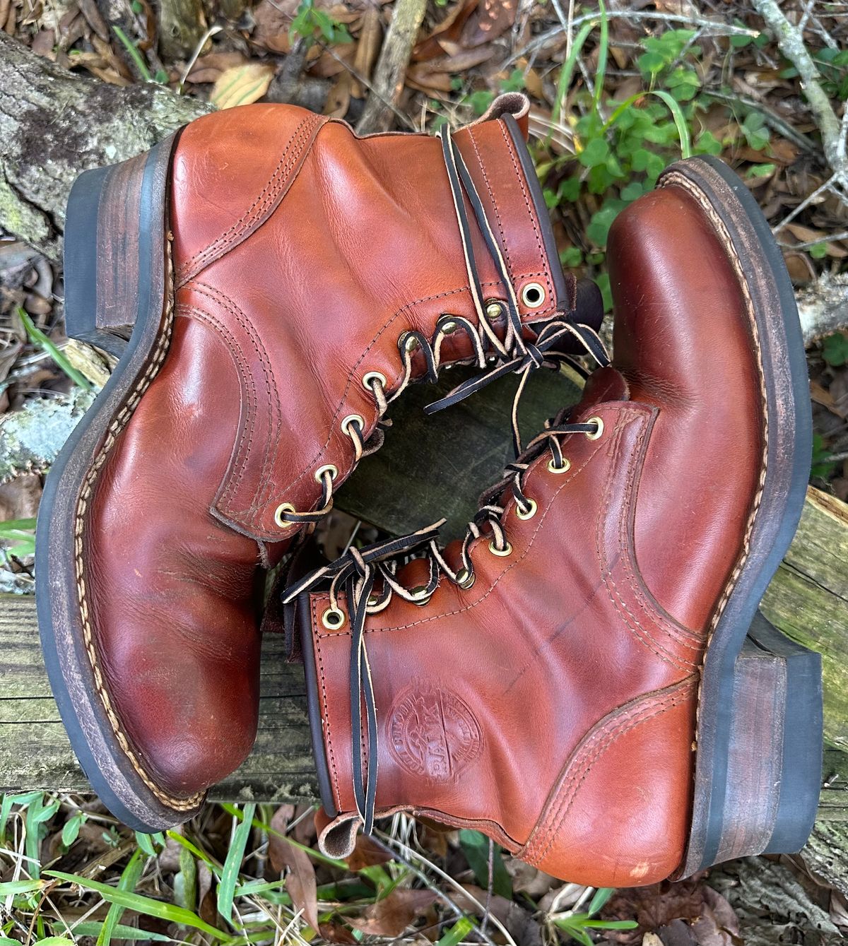 Photo by brusa on January 2, 2025 of the Frank's Boots Wilshire in Wickett & Craig Tan Oiled Latigo.