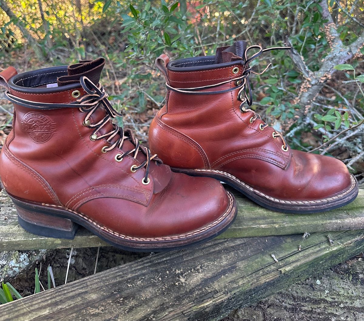 Photo by brusa on January 2, 2025 of the Frank's Boots Wilshire in Wickett & Craig Tan Oiled Latigo.