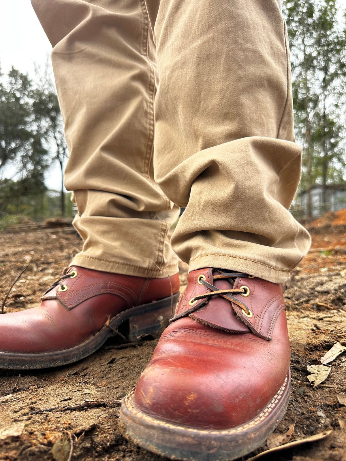 Photo by brusa on February 13, 2025 of the Frank's Boots Wilshire in Wickett & Craig Tan Oiled Latigo.