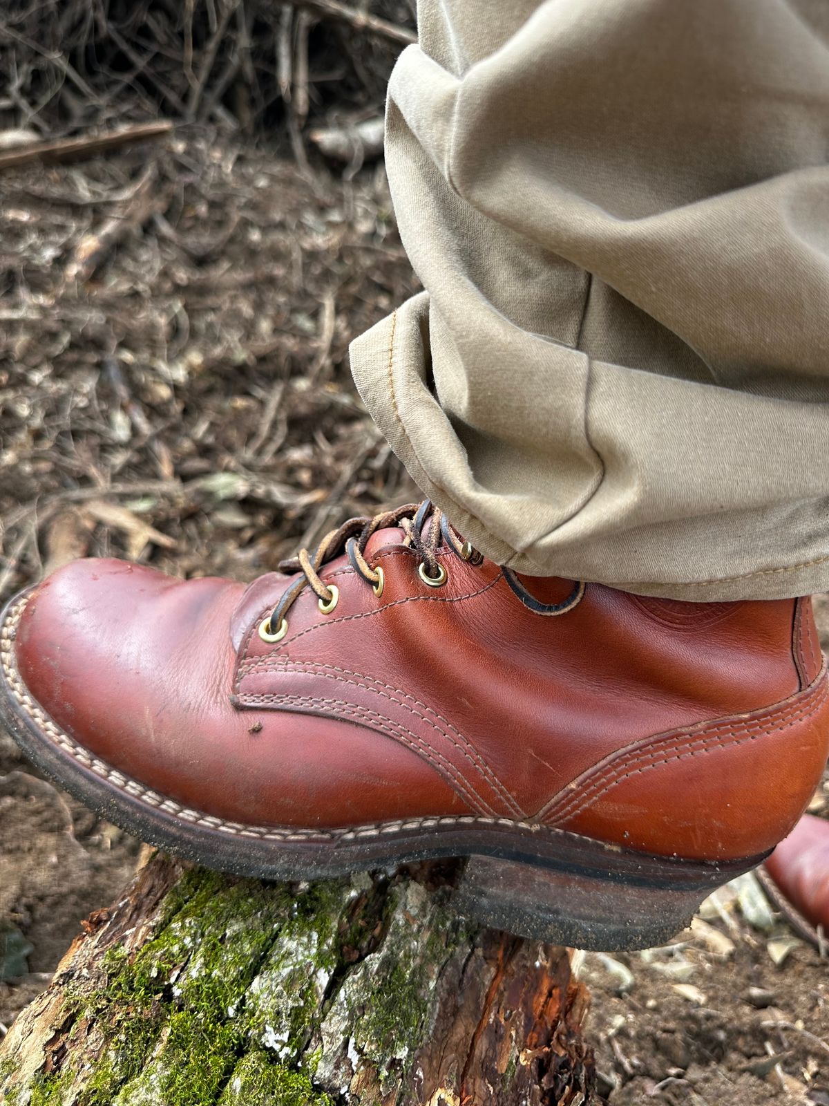 Photo by brusa on February 13, 2025 of the Frank's Boots Wilshire in Wickett & Craig Tan Oiled Latigo.