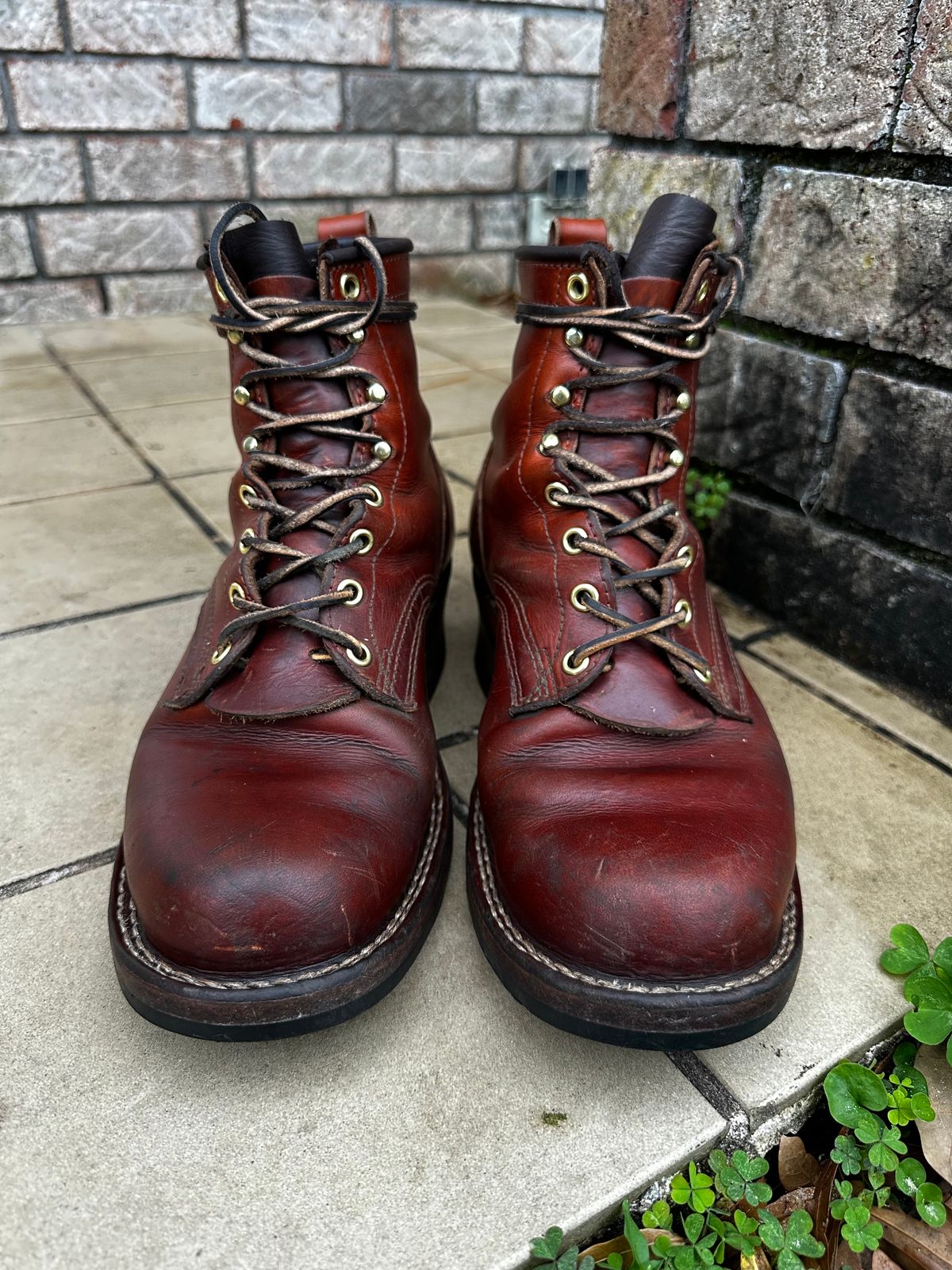 Photo by brusa on March 4, 2025 of the Frank's Boots Wilshire in Wickett & Craig Tan Oiled Latigo.