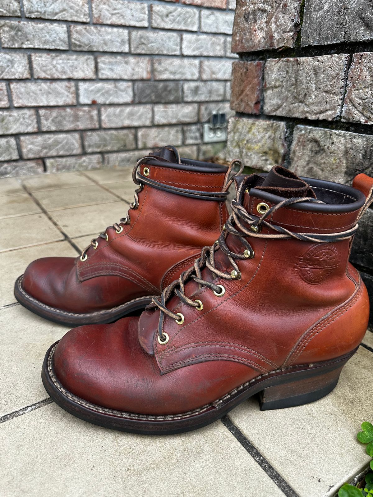 Photo by brusa on March 4, 2025 of the Frank's Boots Wilshire in Wickett & Craig Tan Oiled Latigo.