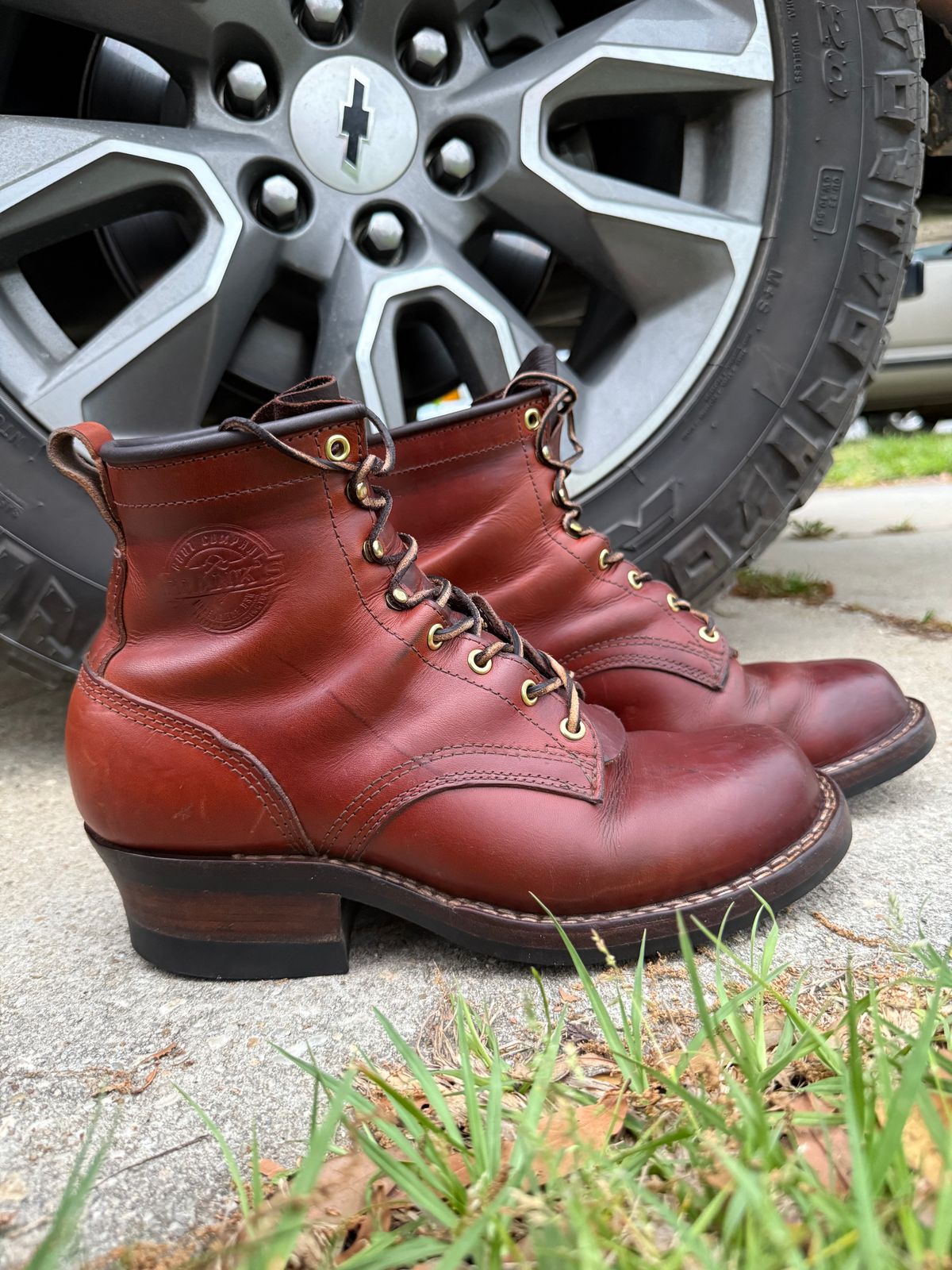 Photo by brusa on April 4, 2025 of the Frank's Boots Wilshire in Wickett & Craig Tan Oiled Latigo.