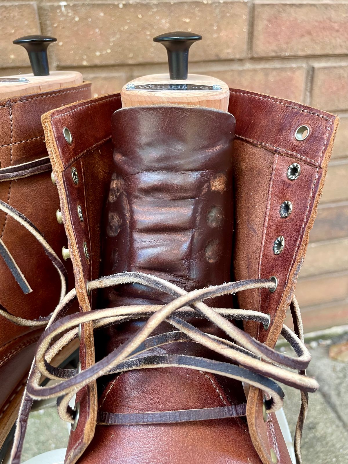 Photo by manco on October 6, 2024 of the Oak Street Bootmakers Trench Boot in Seidel Light Brown Mustang.