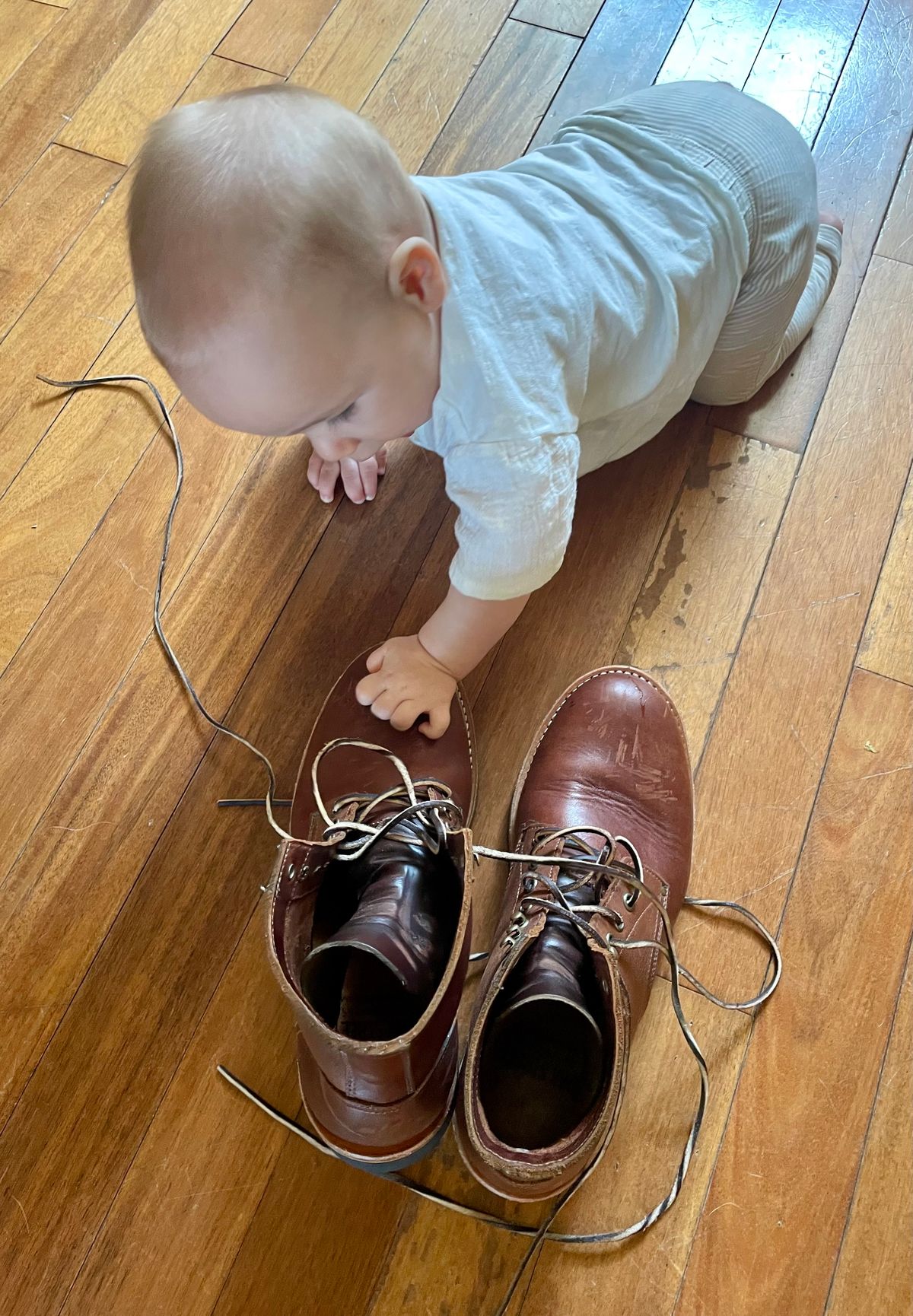 Photo by manco on October 11, 2024 of the Oak Street Bootmakers Trench Boot in Seidel Light Brown Mustang.