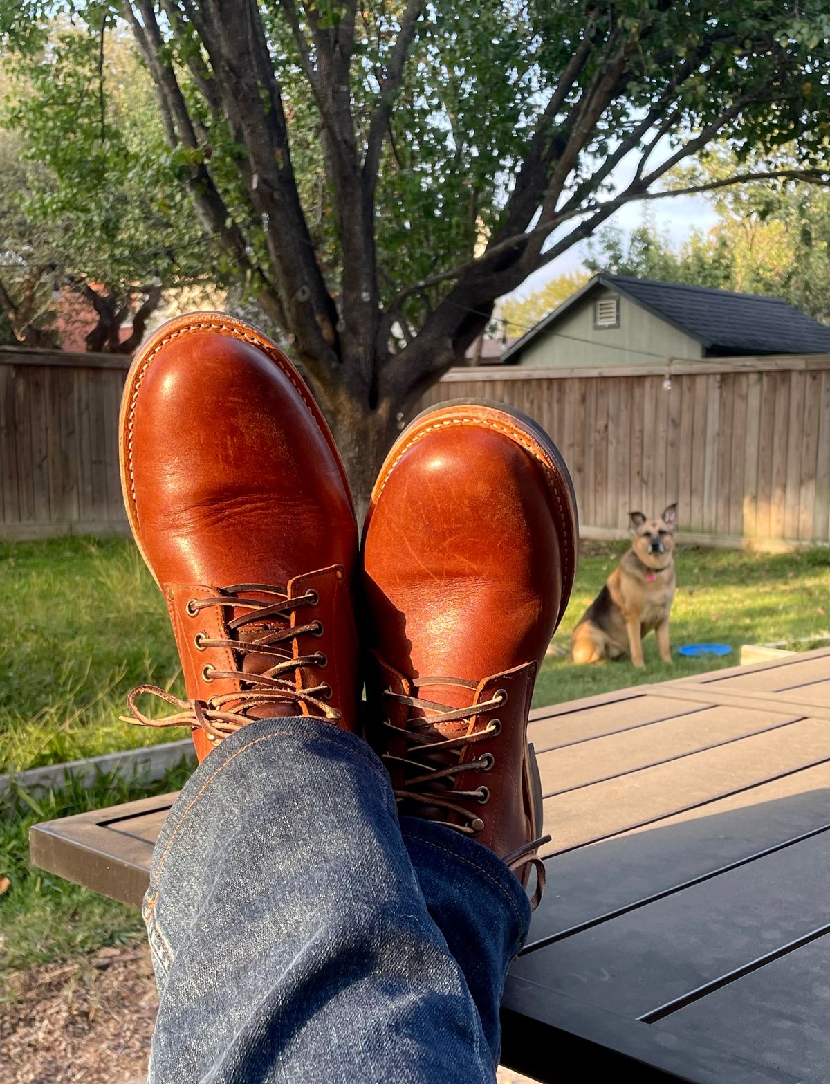 Photo by manco on October 16, 2024 of the Oak Street Bootmakers Trench Boot in Seidel Light Brown Mustang.