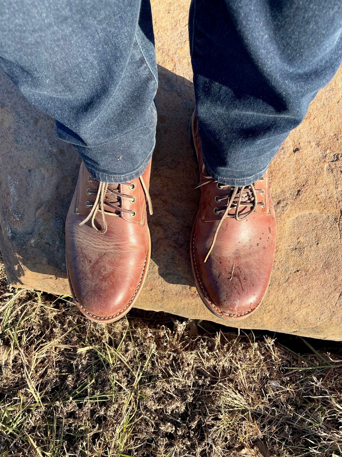 Photo by manco on October 22, 2024 of the Oak Street Bootmakers Trench Boot in Seidel Light Brown Mustang.