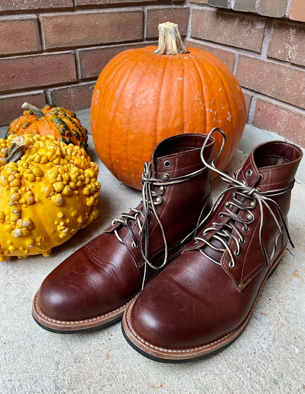 Photo by manco on October 30, 2024 of the Oak Street Bootmakers Trench Boot in Seidel Light Brown Mustang.