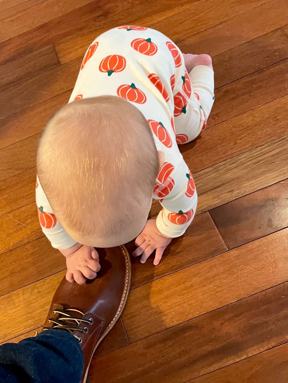 Photo by manco on October 30, 2024 of the Oak Street Bootmakers Trench Boot in Seidel Light Brown Mustang.