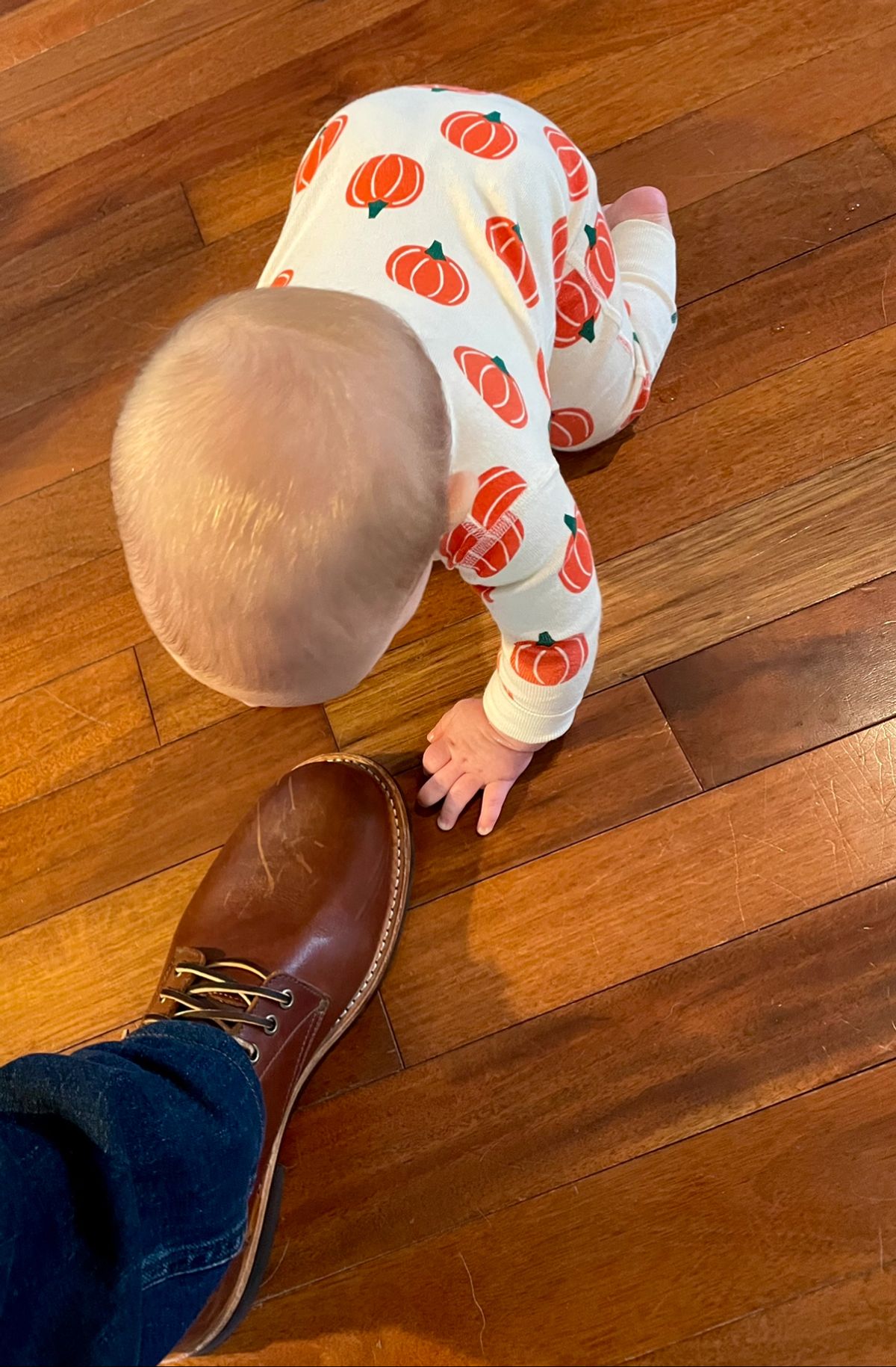 Photo by manco on October 30, 2024 of the Oak Street Bootmakers Trench Boot in Seidel Light Brown Mustang.