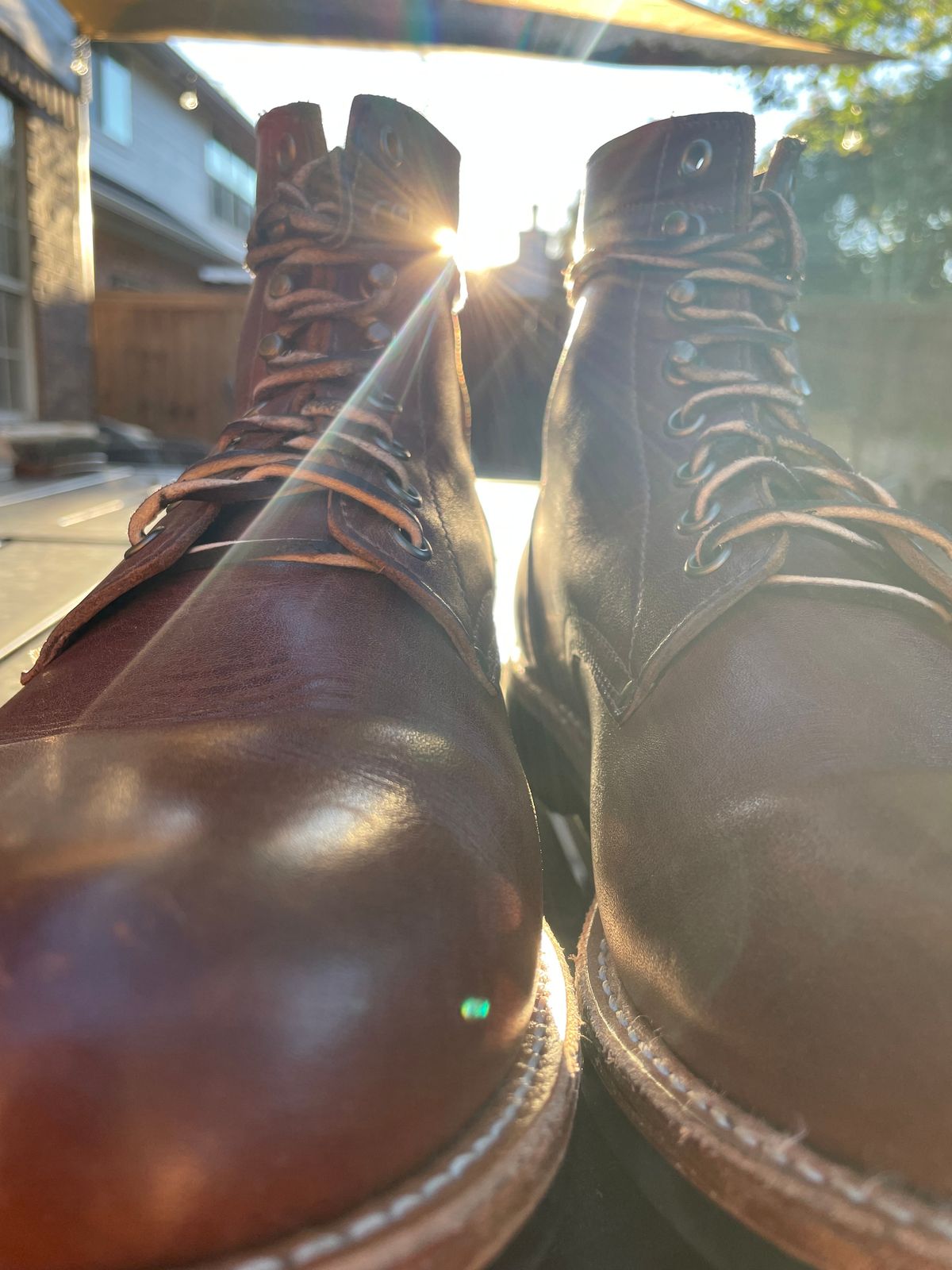 Photo by manco on November 6, 2024 of the Oak Street Bootmakers Trench Boot in Seidel Light Brown Mustang.