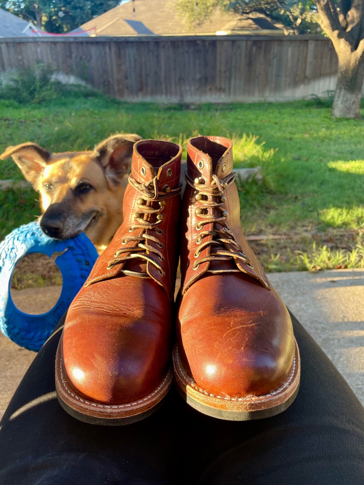 Photo by manco on November 28, 2024 of the Oak Street Bootmakers Trench Boot in Seidel Light Brown Mustang.