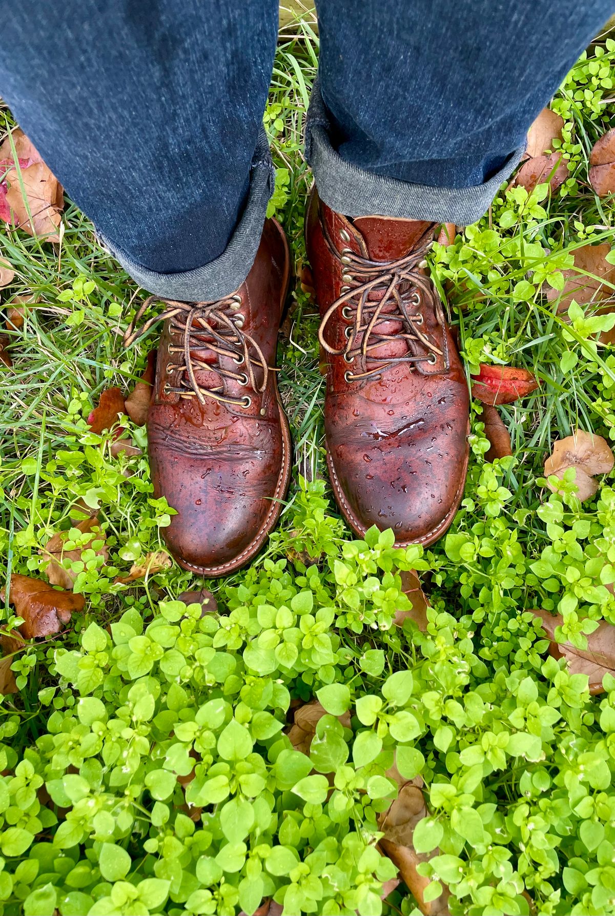 Photo by manco on December 22, 2024 of the Oak Street Bootmakers Trench Boot in Seidel Light Brown Mustang.