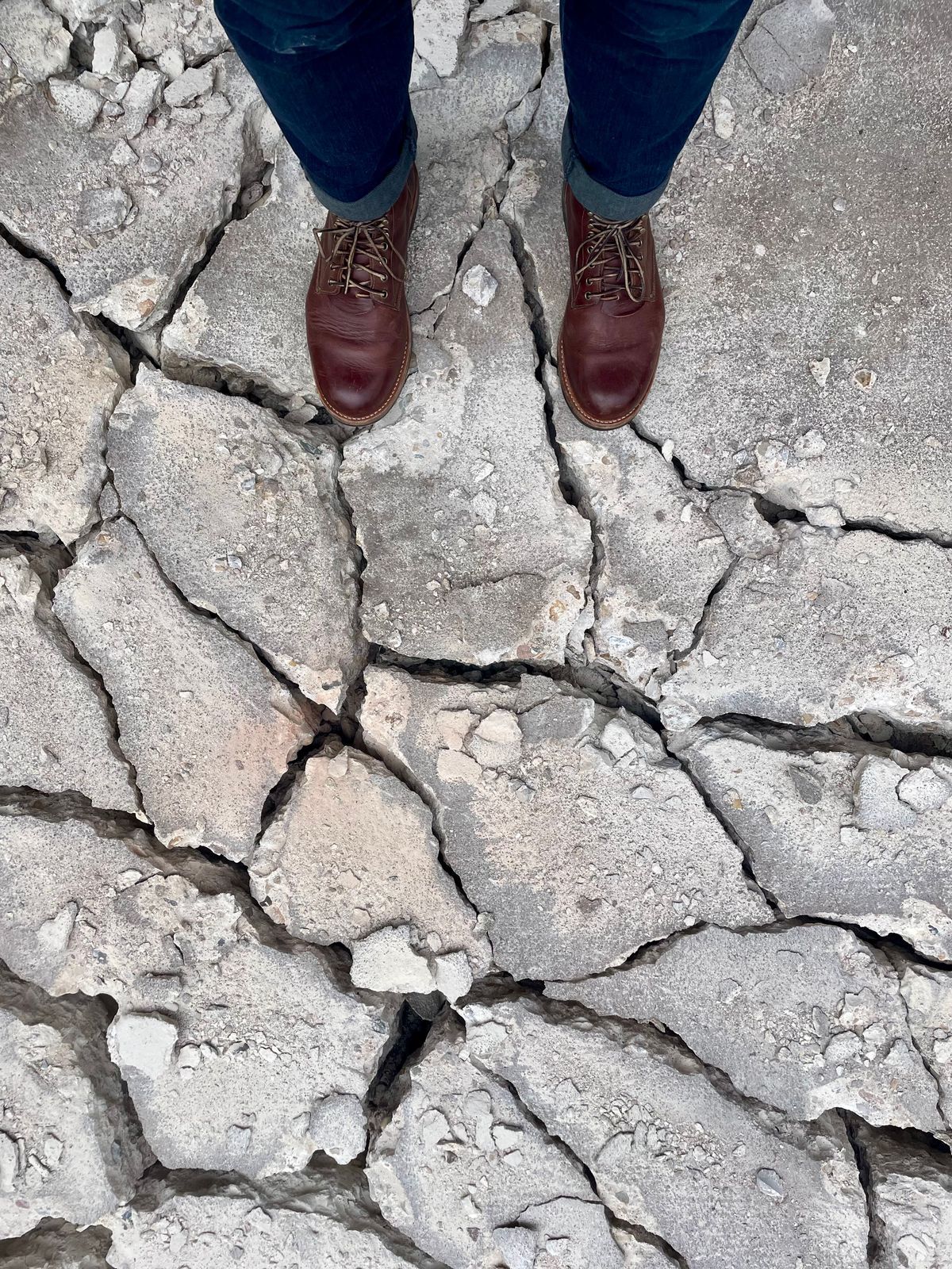 Photo by manco on January 10, 2025 of the Oak Street Bootmakers Trench Boot in Seidel Light Brown Mustang.