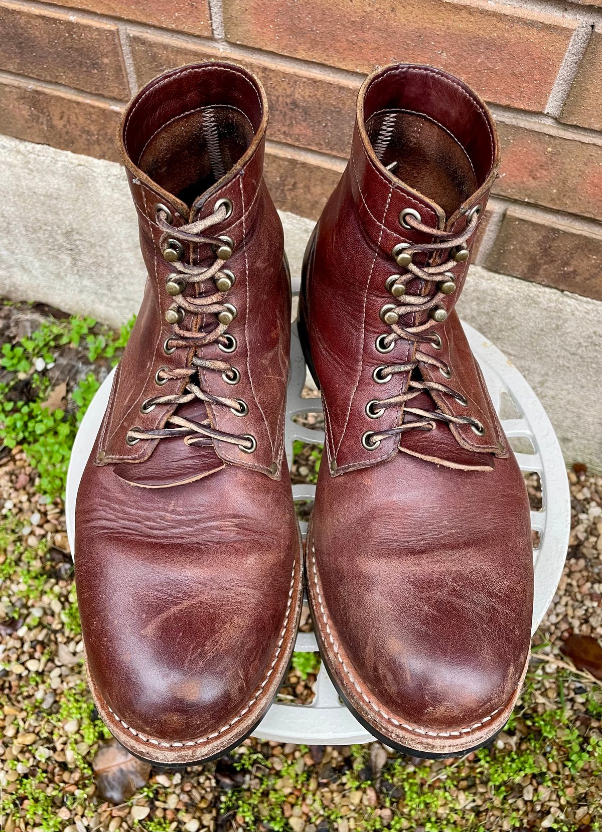 Photo by manco on January 26, 2025 of the Oak Street Bootmakers Trench Boot in Seidel Light Brown Mustang.