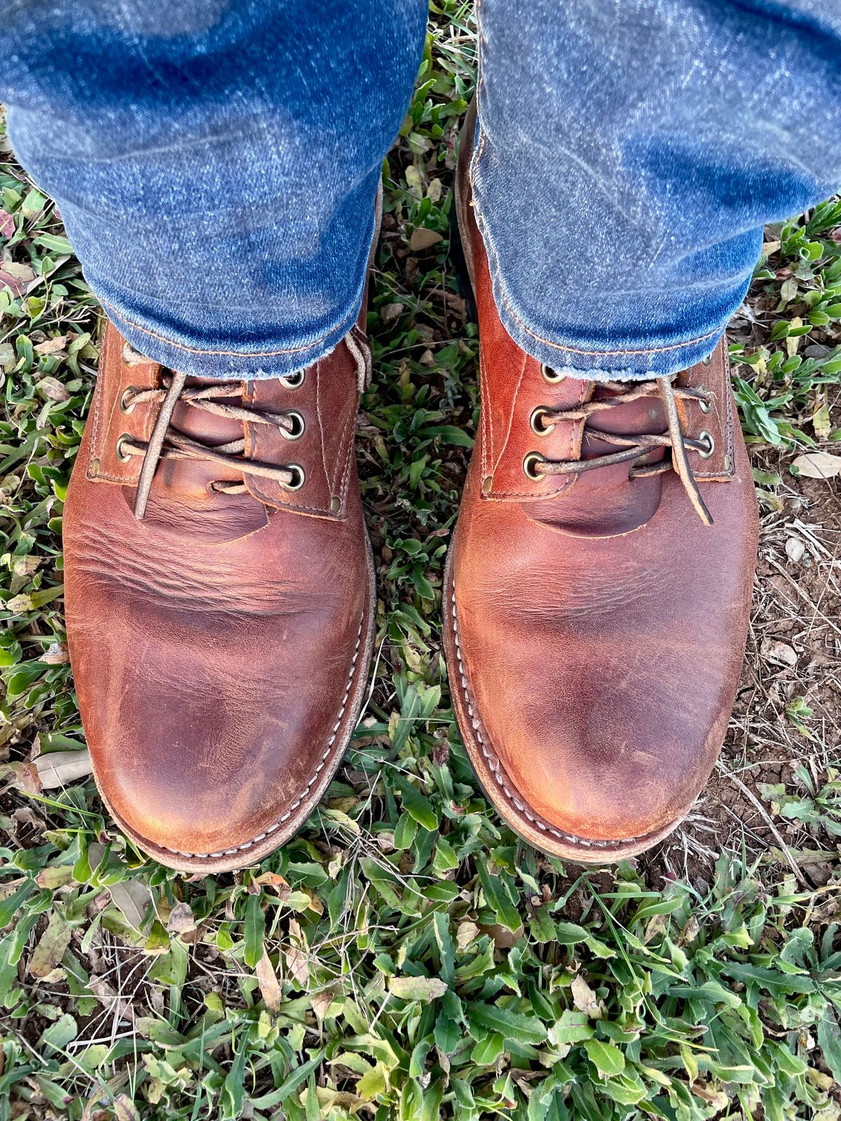 Photo by manco on March 12, 2025 of the Oak Street Bootmakers Trench Boot in Seidel Light Brown Mustang.