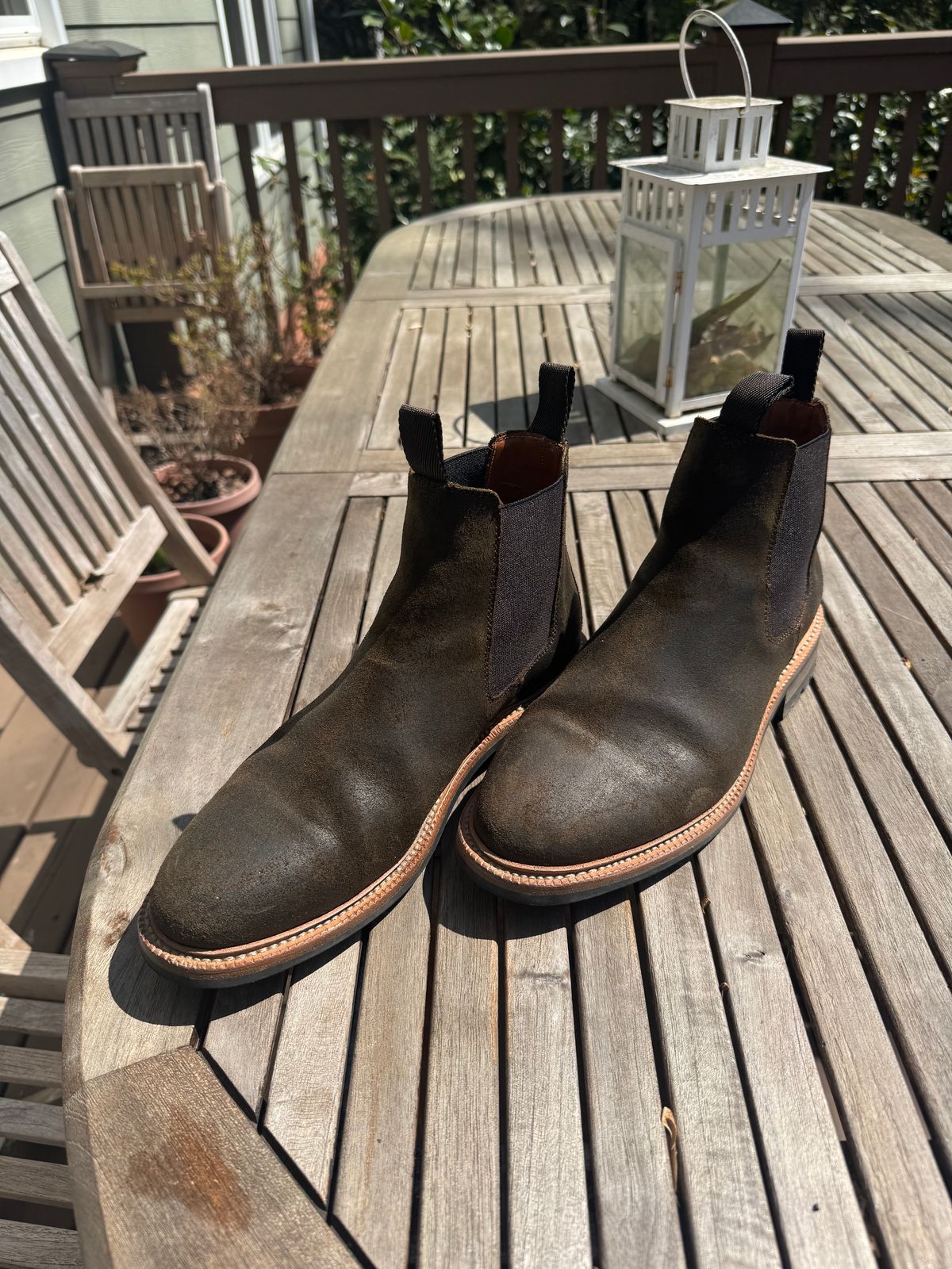 Photo by InspektorKemp on March 21, 2026 of the Parkhurst The Elmwood in C.F. Stead Laurel Waxy Commander.