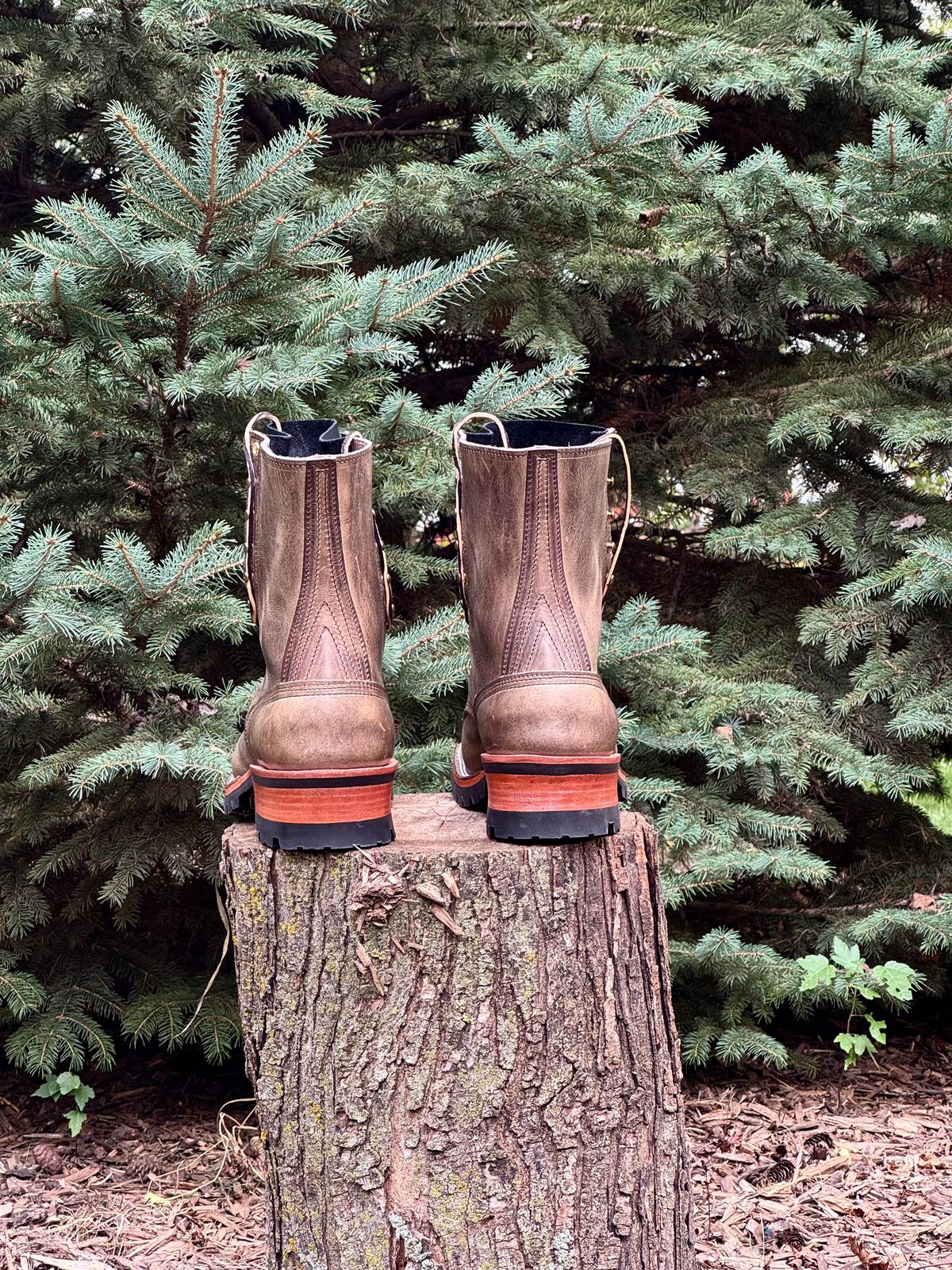 Photo by PatC on October 1, 2025 of the Nicks MTO in Charcoal Cypress.