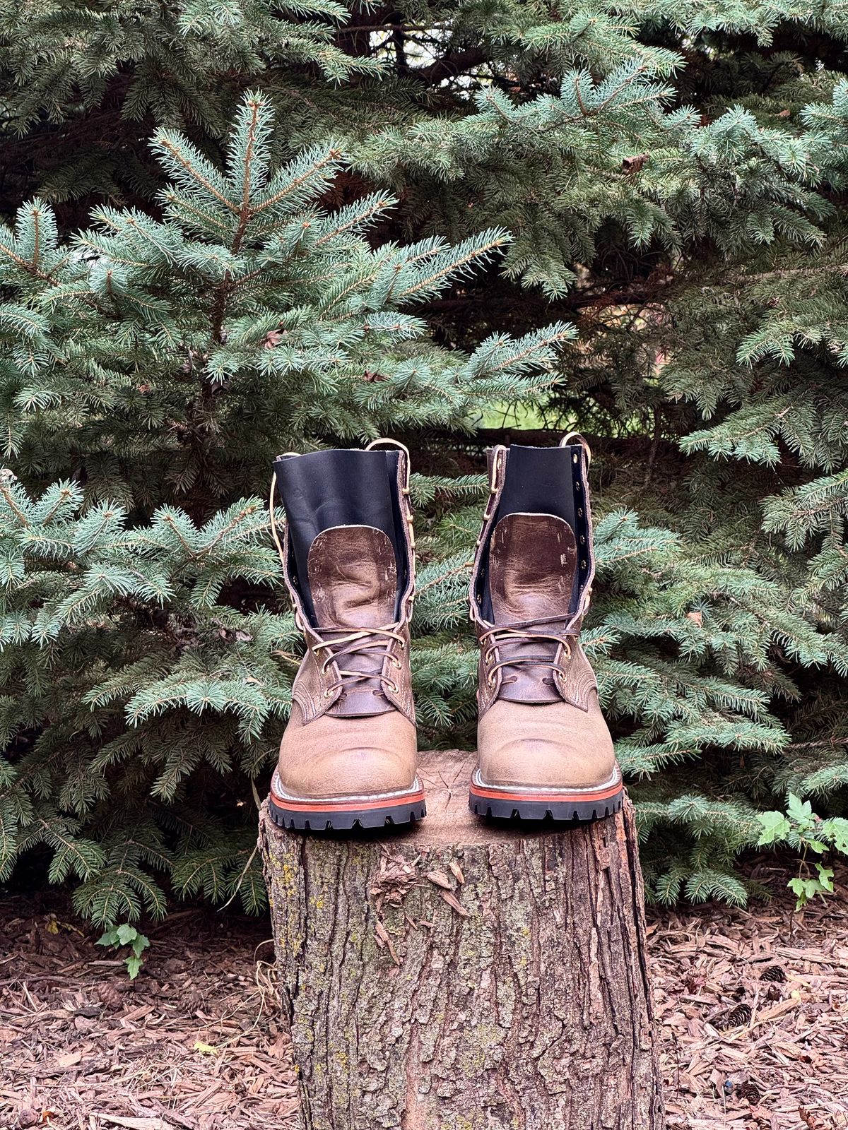 Photo by PatC on October 1, 2025 of the Nicks MTO in Charcoal Cypress.