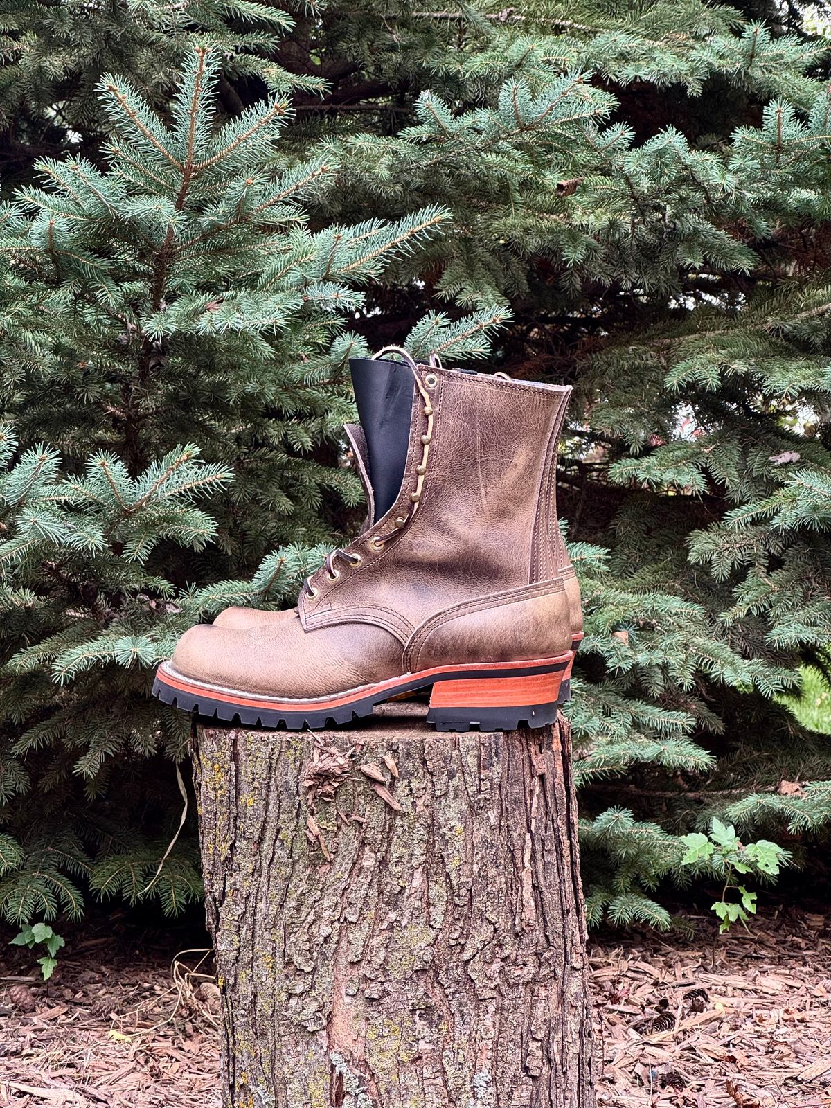 Photo by PatC on October 1, 2025 of the Nicks MTO in Charcoal Cypress.