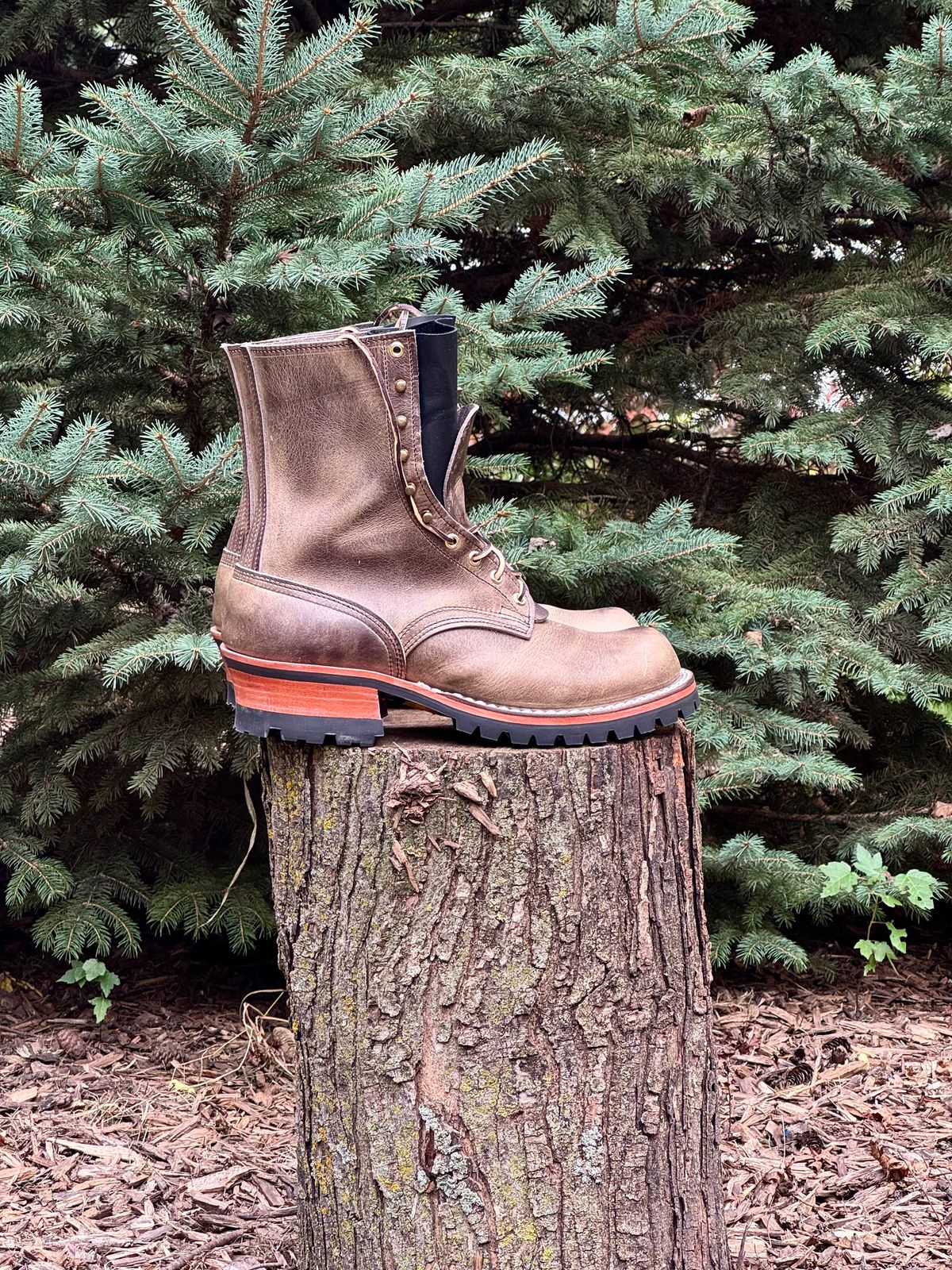 Photo by PatC on October 1, 2025 of the Nicks MTO in Charcoal Cypress.