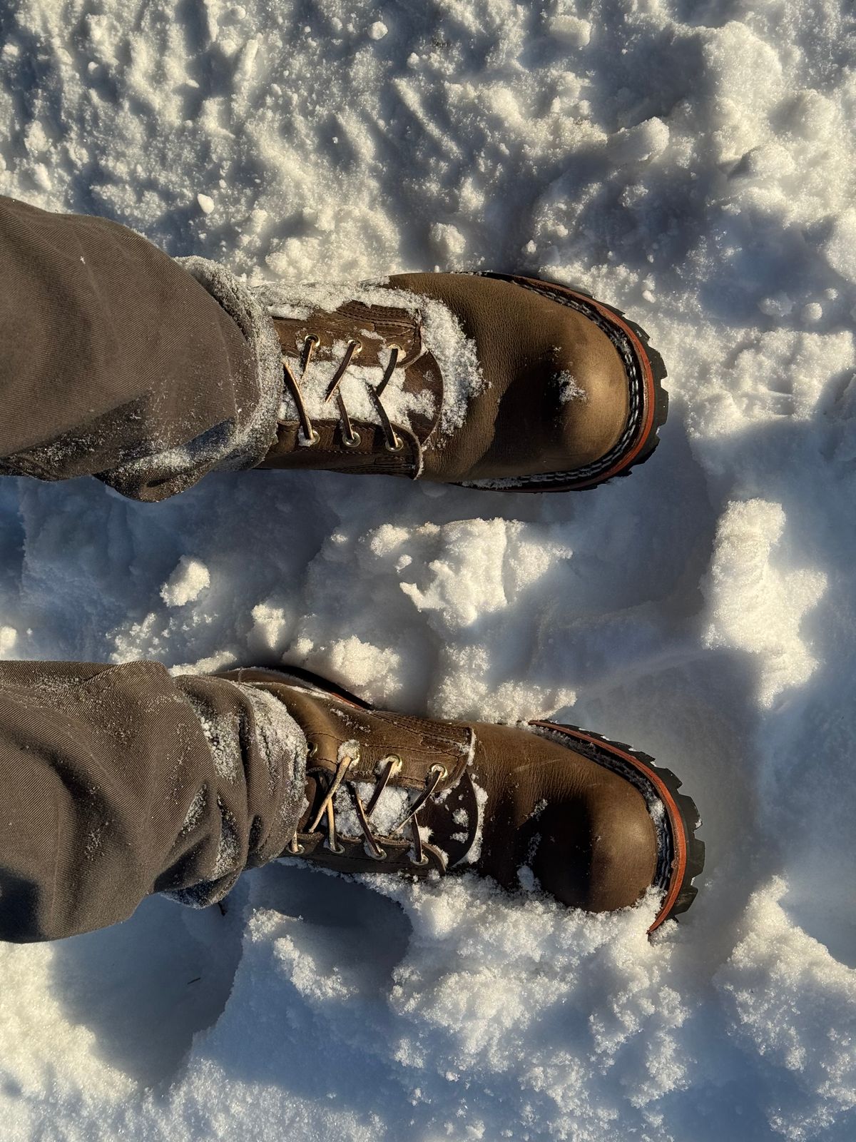 Photo by PatC on December 3, 2025 of the Nicks MTO in Charcoal Cypress.