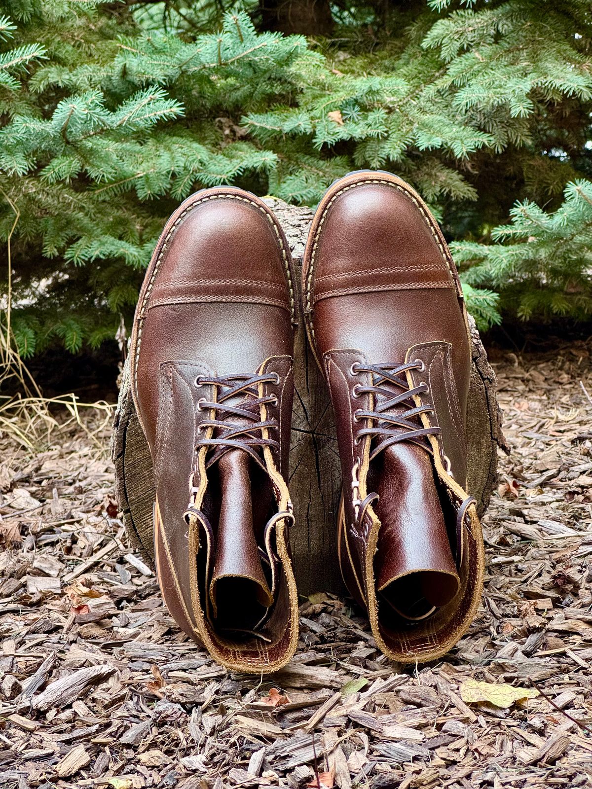 Photo by PatC on September 30, 2025 of the White's CMP-Sherman in Horween Cinnamon Waxed Flesh.