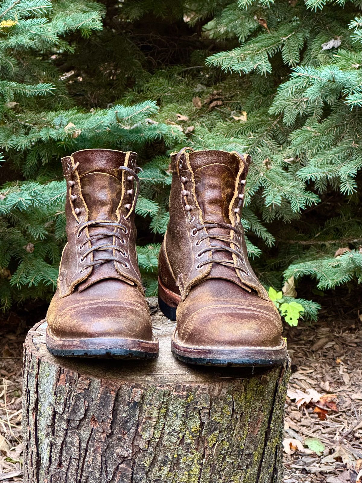 Photo by PatC on October 31, 2025 of the White's CMP-Sherman in Horween Cinnamon Waxed Flesh.