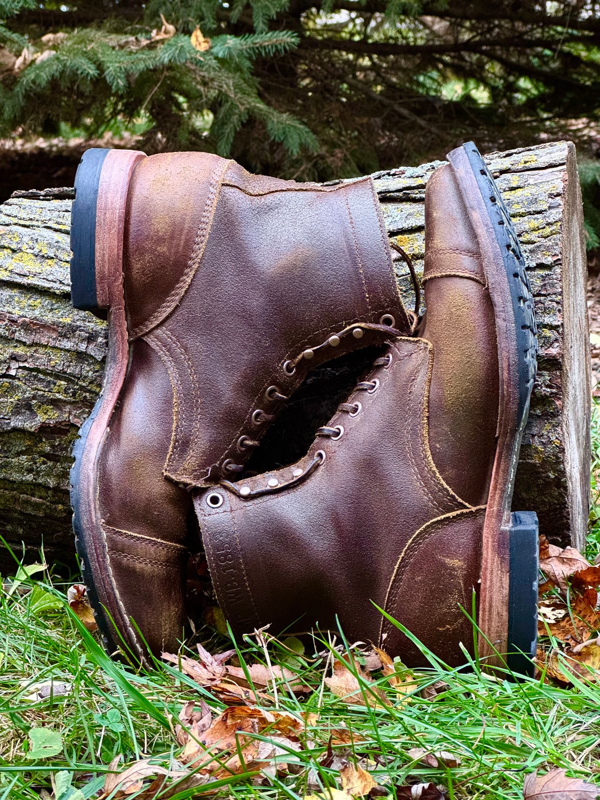 Photo by PatC on October 31, 2025 of the White's CMP-Sherman in Horween Cinnamon Waxed Flesh.