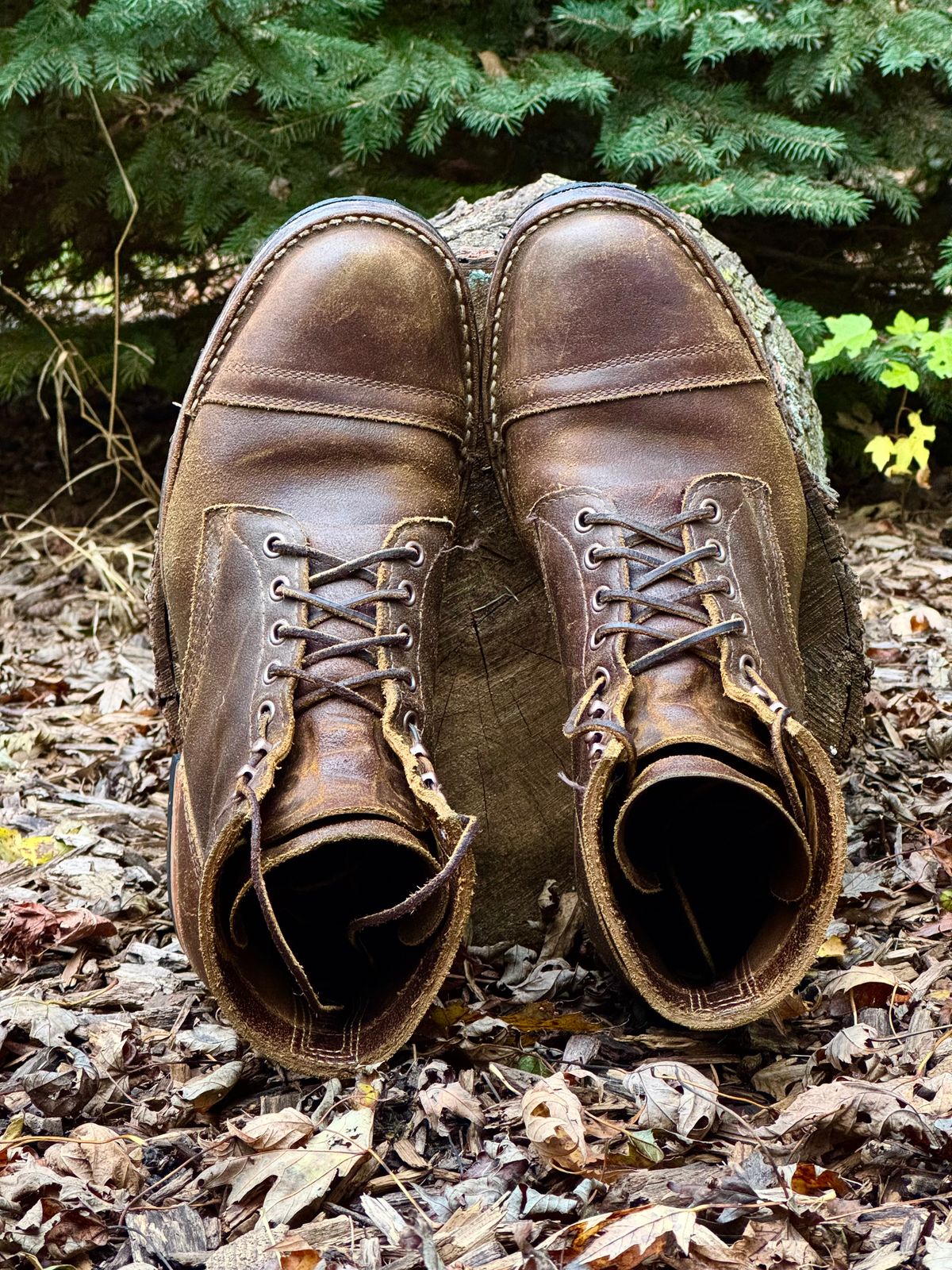 Photo by PatC on October 31, 2025 of the White's CMP-Sherman in Horween Cinnamon Waxed Flesh.