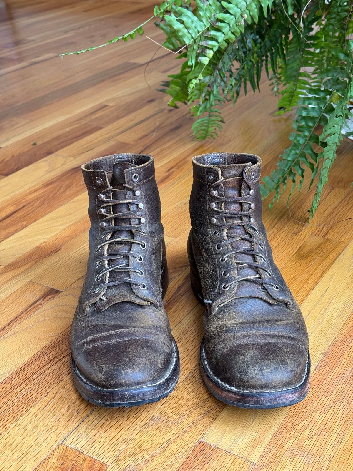 Photo by PatC on February 5, 2026 of the White's CMP-Sherman in Horween Cinnamon Waxed Flesh.
