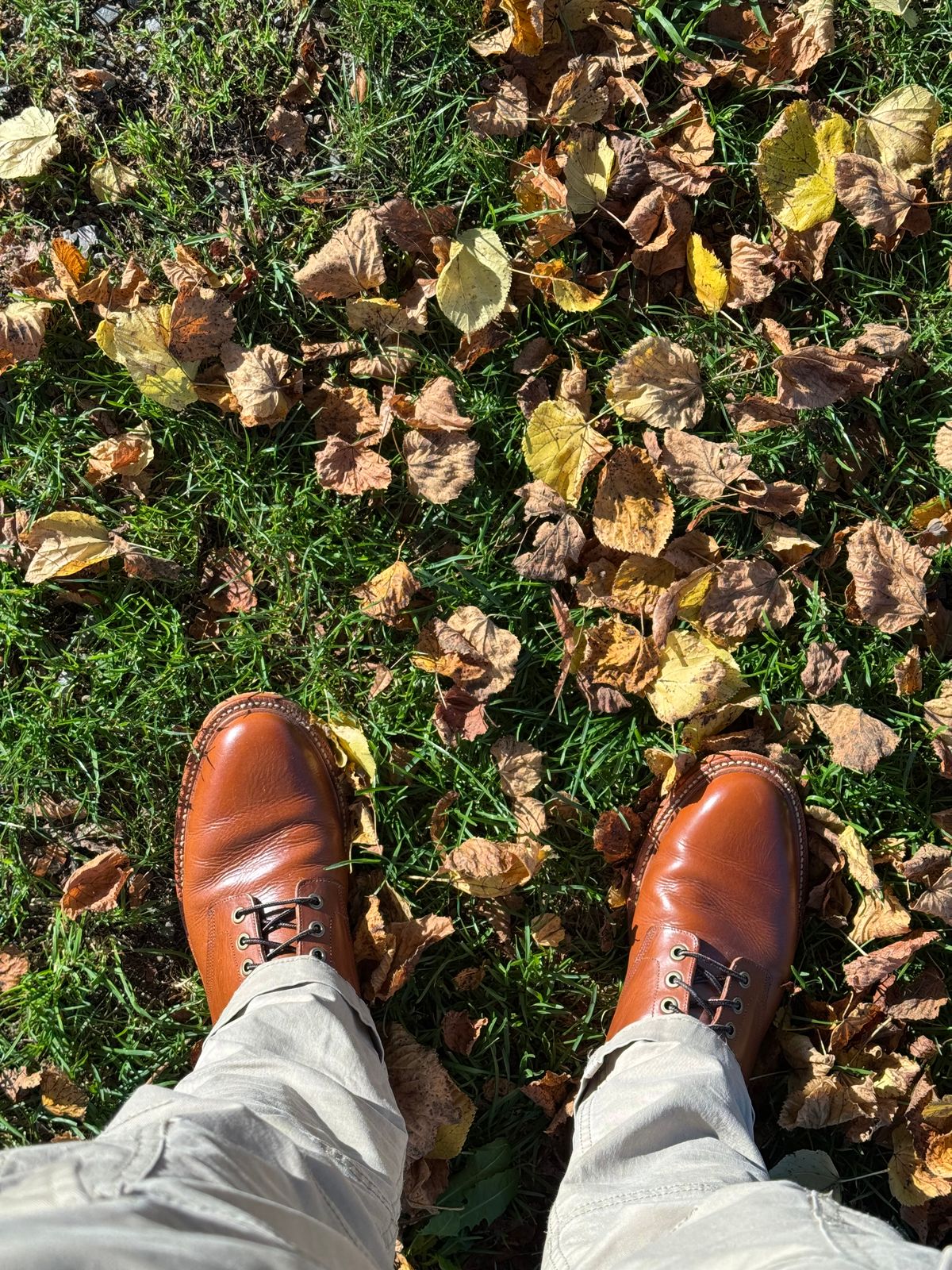 Photo by Hans_Waldmann on October 18, 2025 of the Grant Stone Diesel Boot in Badalassi Carlo Saddle Tan Minerva.