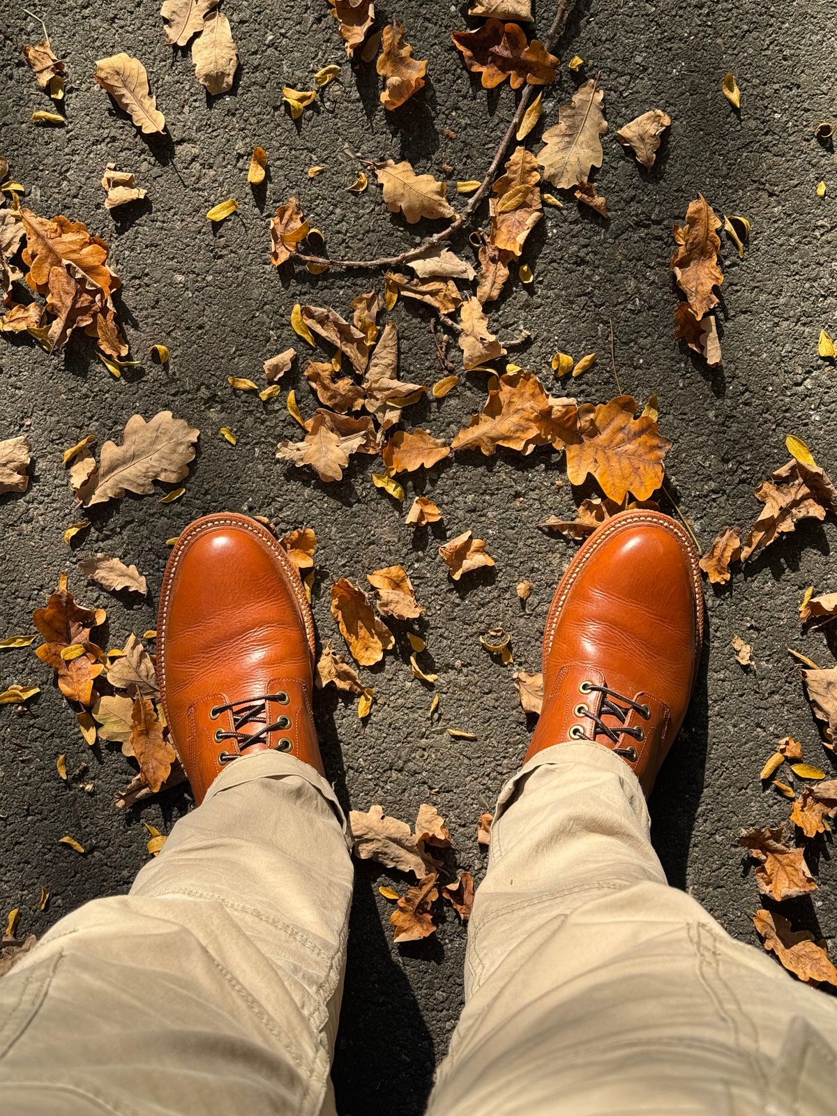 Photo by Hans_Waldmann on October 18, 2025 of the Grant Stone Diesel Boot in Badalassi Carlo Saddle Tan Minerva.