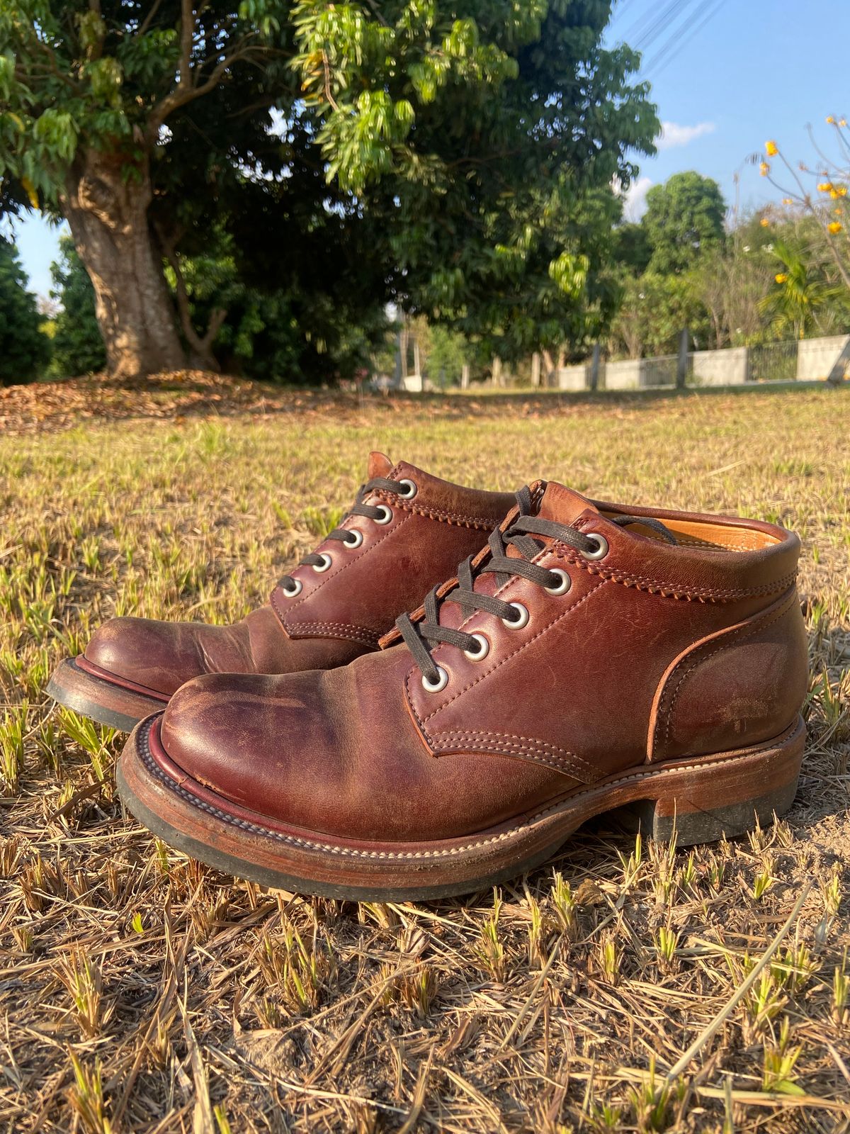 Photo by iKanoon on February 25, 2025 of the Quan Shoemaker Custom Model in Maryam Burgandy TPR.