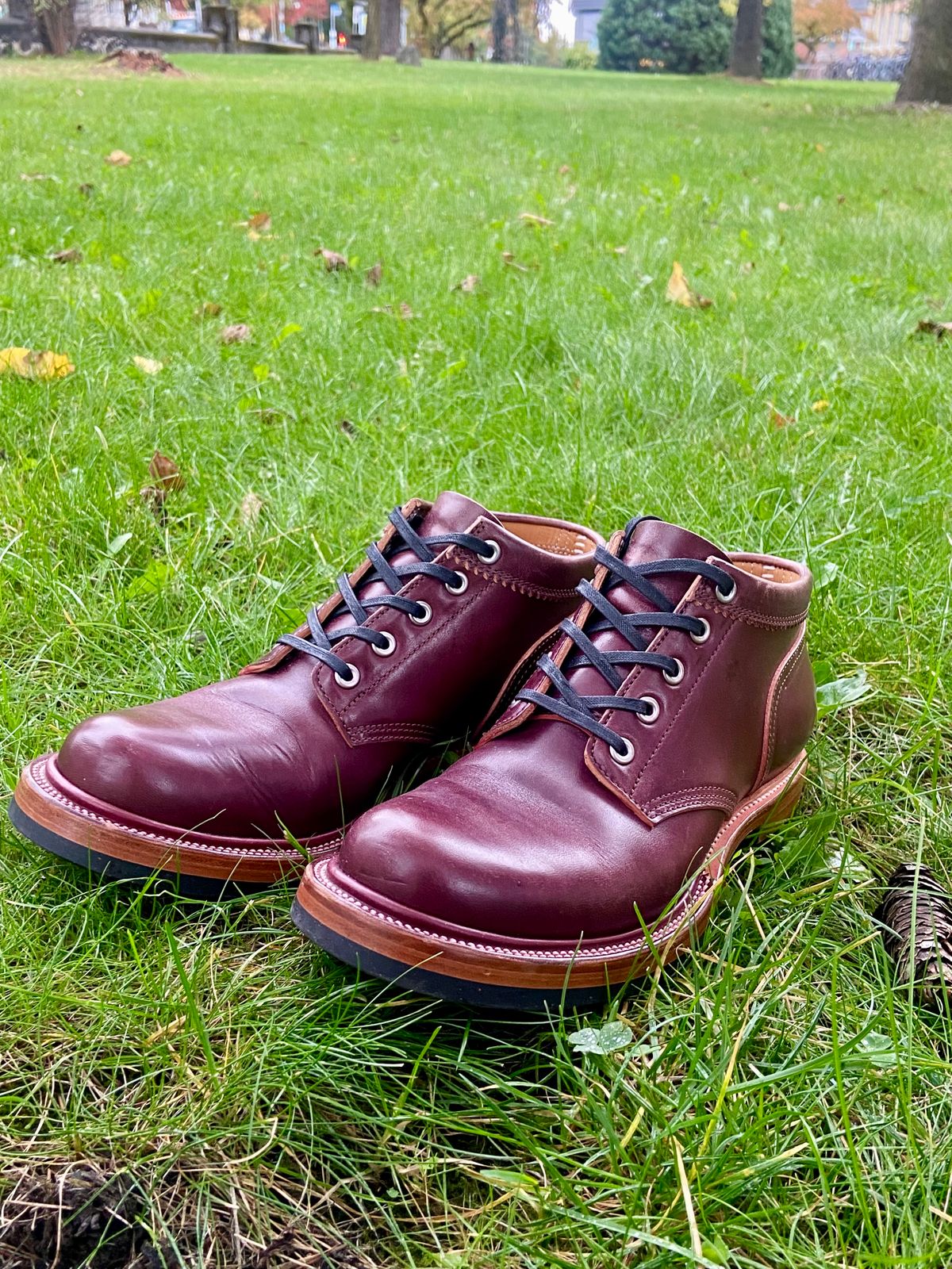 Photo by iKanoon on October 8, 2024 of the Quan Shoemaker Custom Model in Maryam Burgandy TPR.