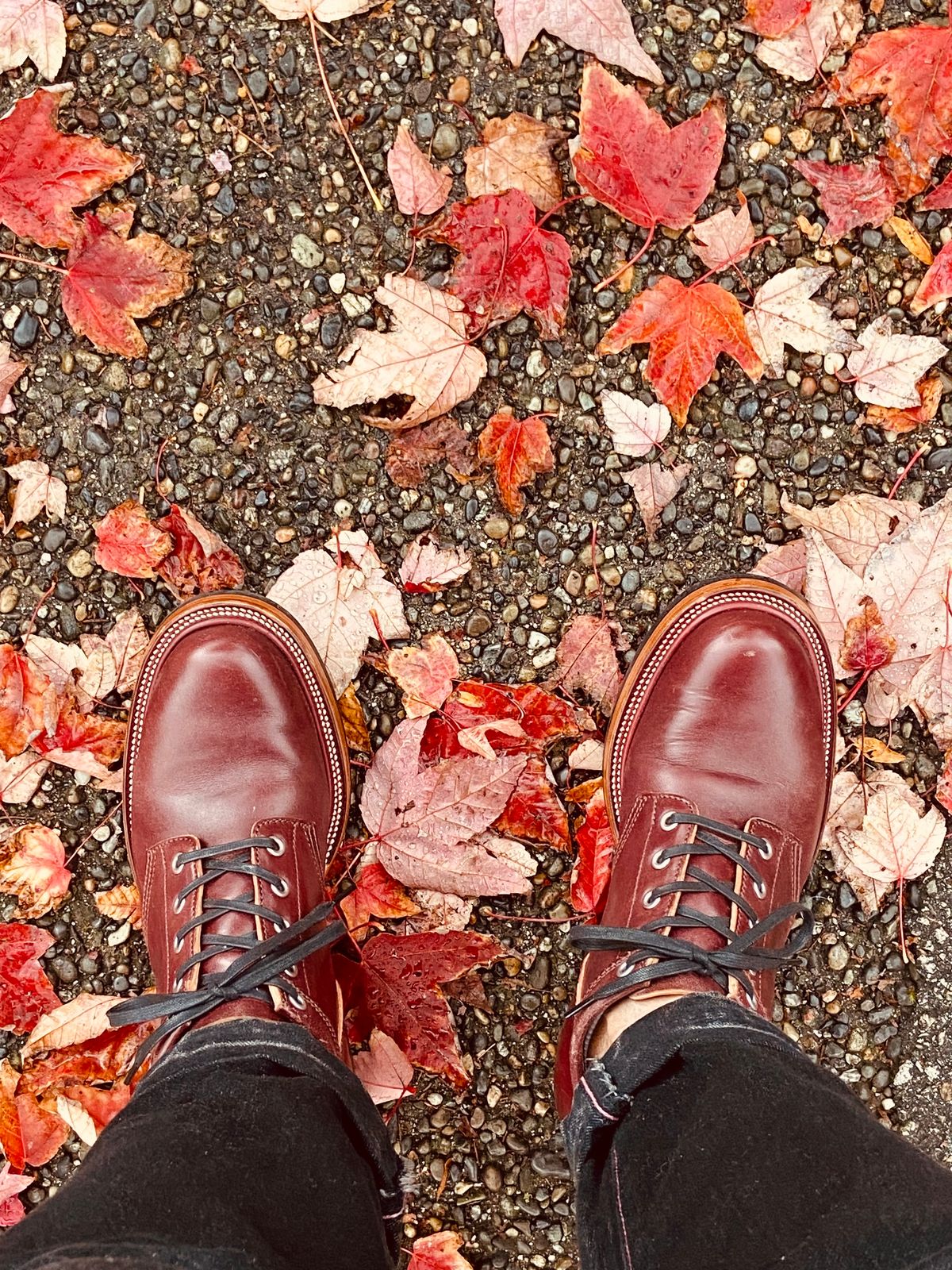 Photo by iKanoon on October 8, 2024 of the Quan Shoemaker Custom Model in Maryam Burgandy TPR.