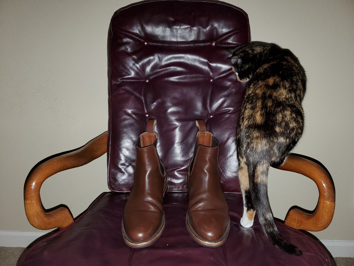Photo by rey.verde on November 5, 2024 of the Urban Wolf Club Winchester in Brown Bovine Leather.