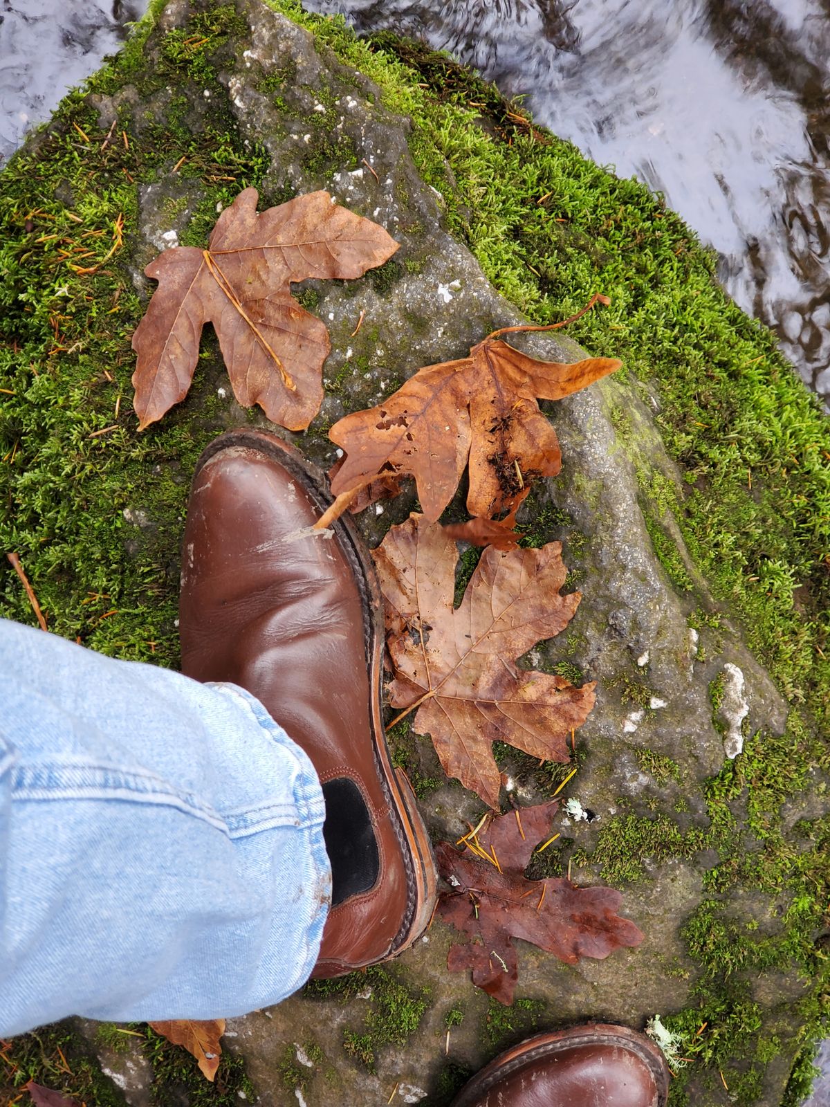 Photo by rey.verde on December 5, 2024 of the Urban Wolf Club Winchester in Brown Bovine Leather.