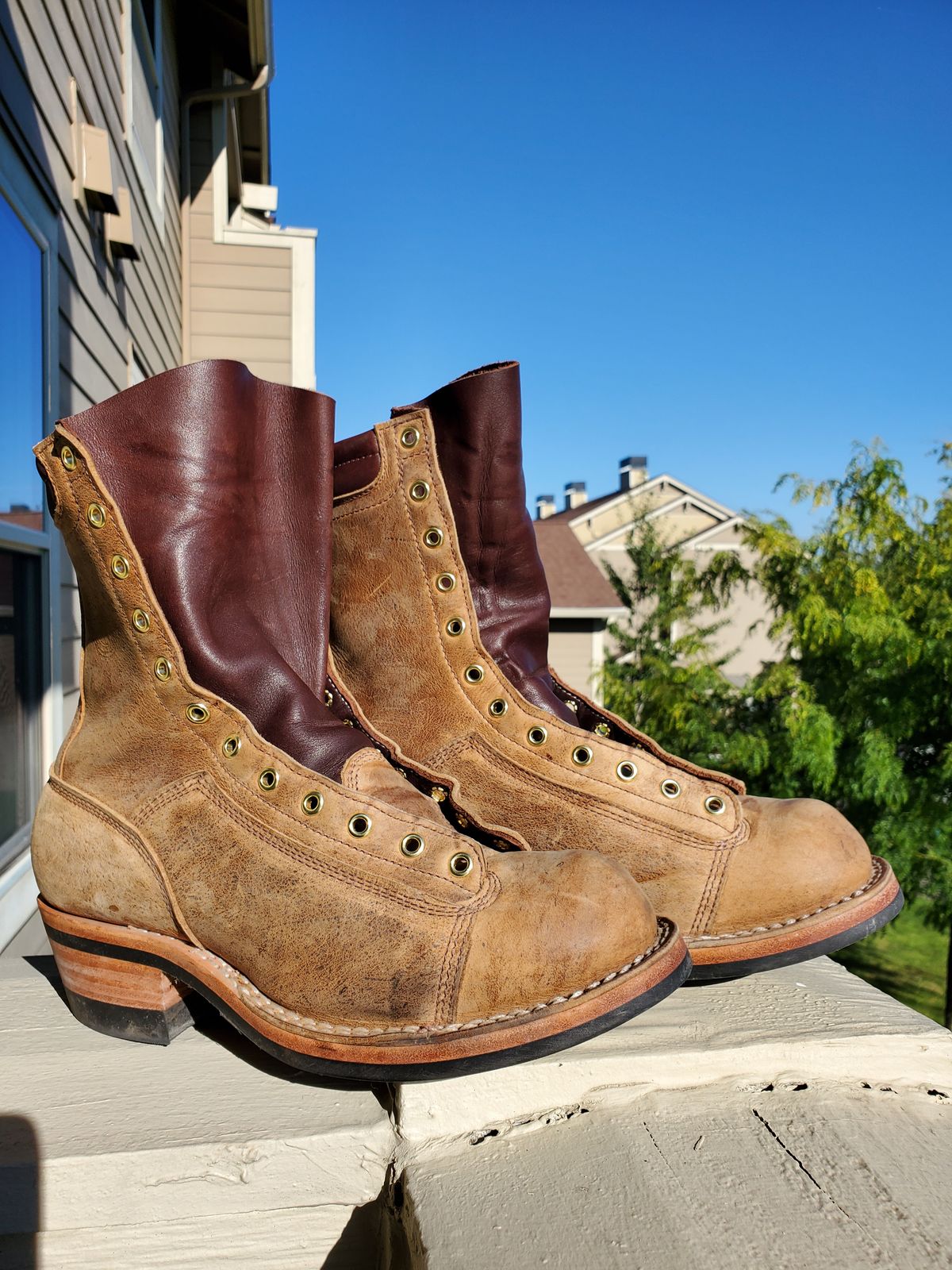 Photo by rey.verde on August 31, 2024 of the Frank's Boots Monkey Boot in C.F. Stead Autumn Spice Kudu Classic.