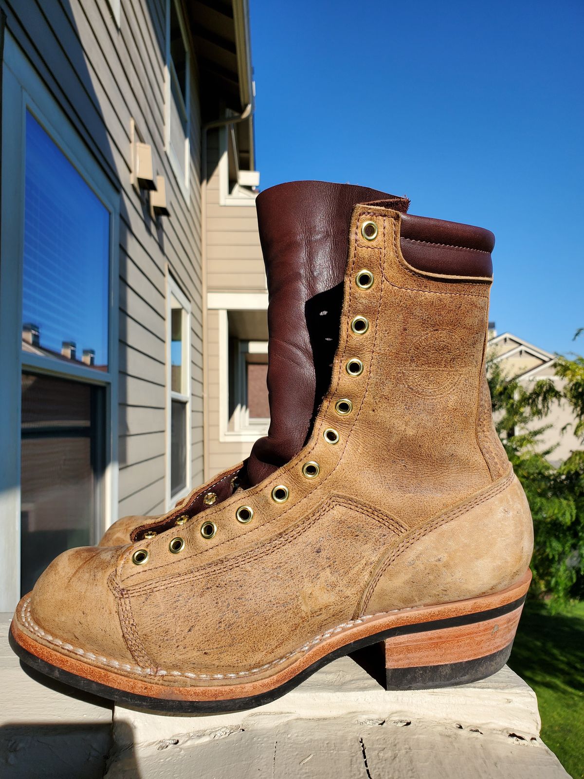 Photo by rey.verde on August 31, 2024 of the Frank's Boots Monkey Boot in C.F. Stead Autumn Spice Kudu Classic.