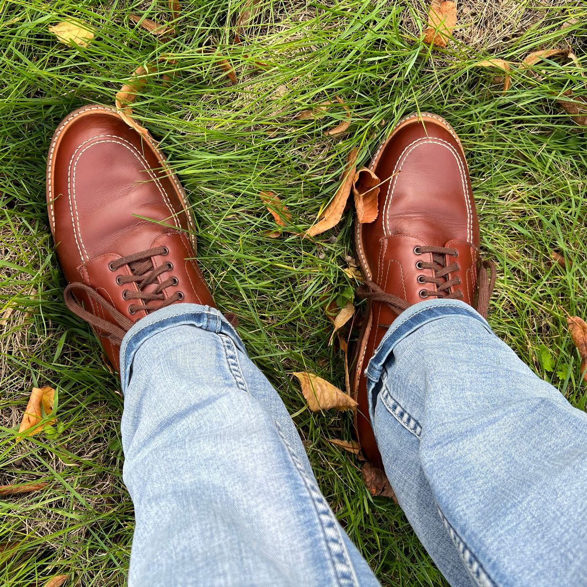 Photo by WhteRbt on October 4, 2023 of the Alden Indy Boot in Brown Calfskin.