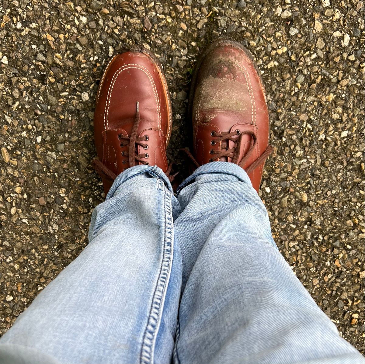 Photo by WhteRbt on April 27, 2024 of the Alden Indy Boot in Brown Calfskin.