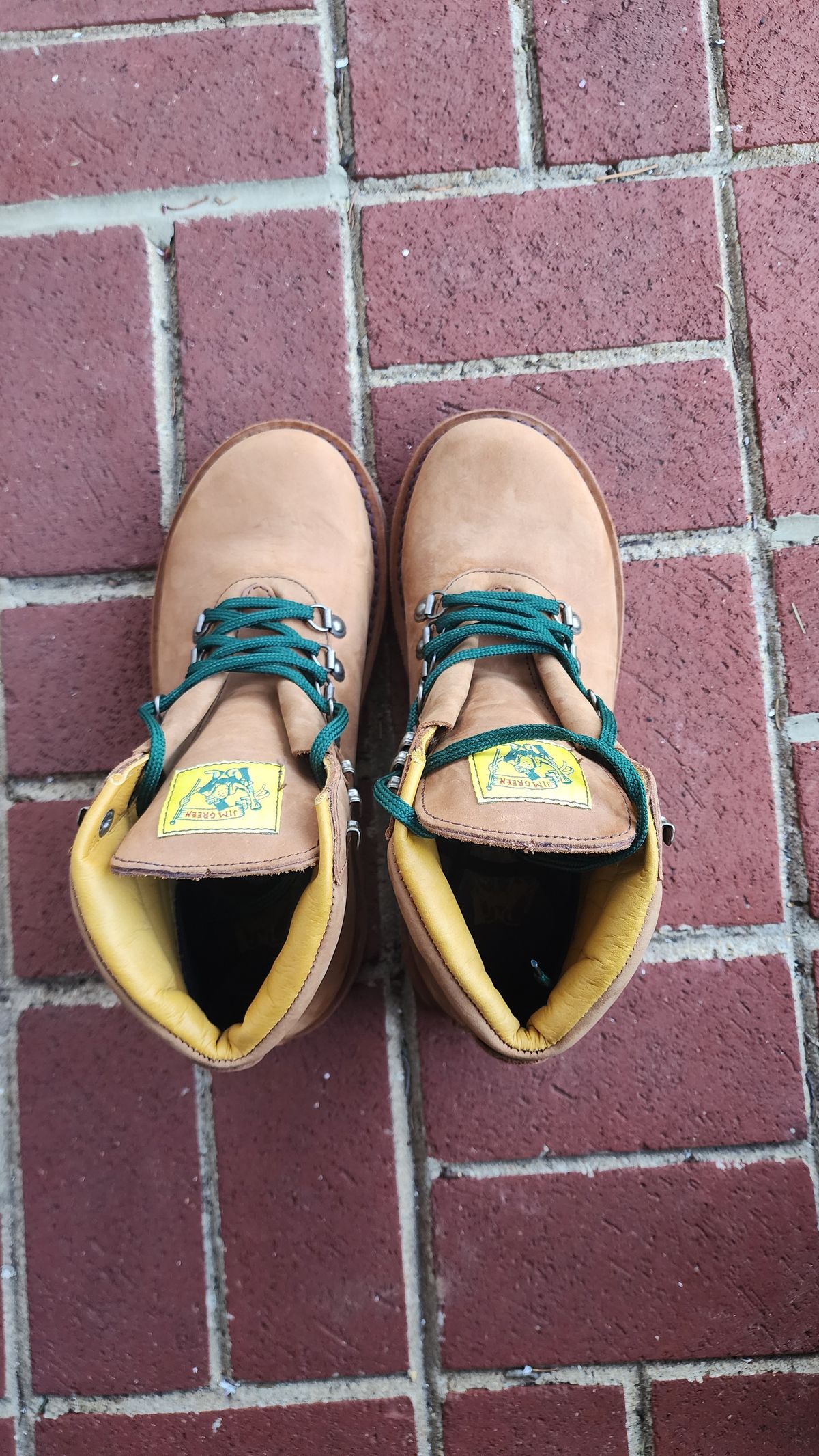 Photo by Oddbird on February 20, 2026 of the Jim Green Razorback in Fudge Crazy Horse.