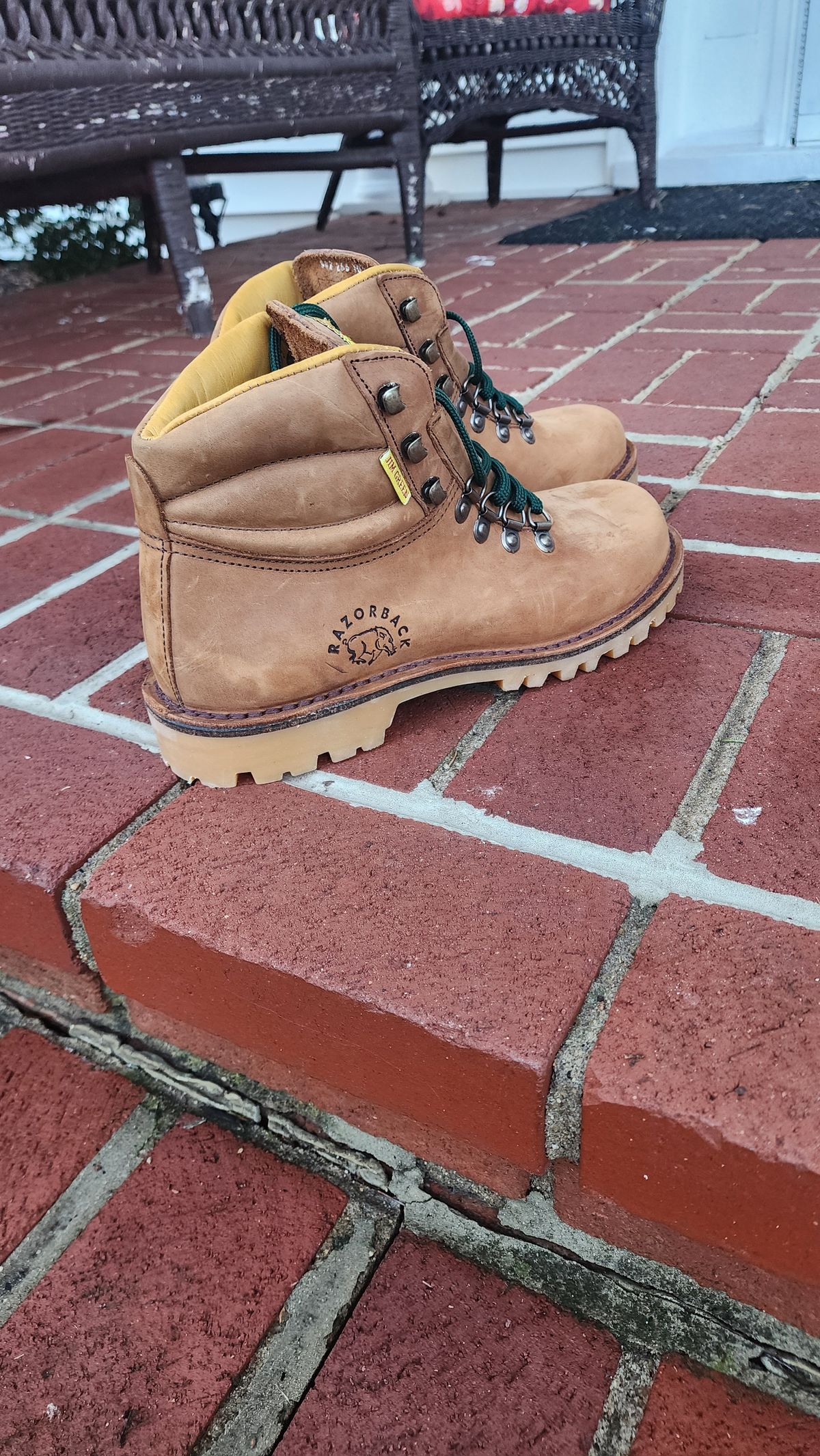 Photo by Oddbird on February 20, 2026 of the Jim Green Razorback in Fudge Crazy Horse.